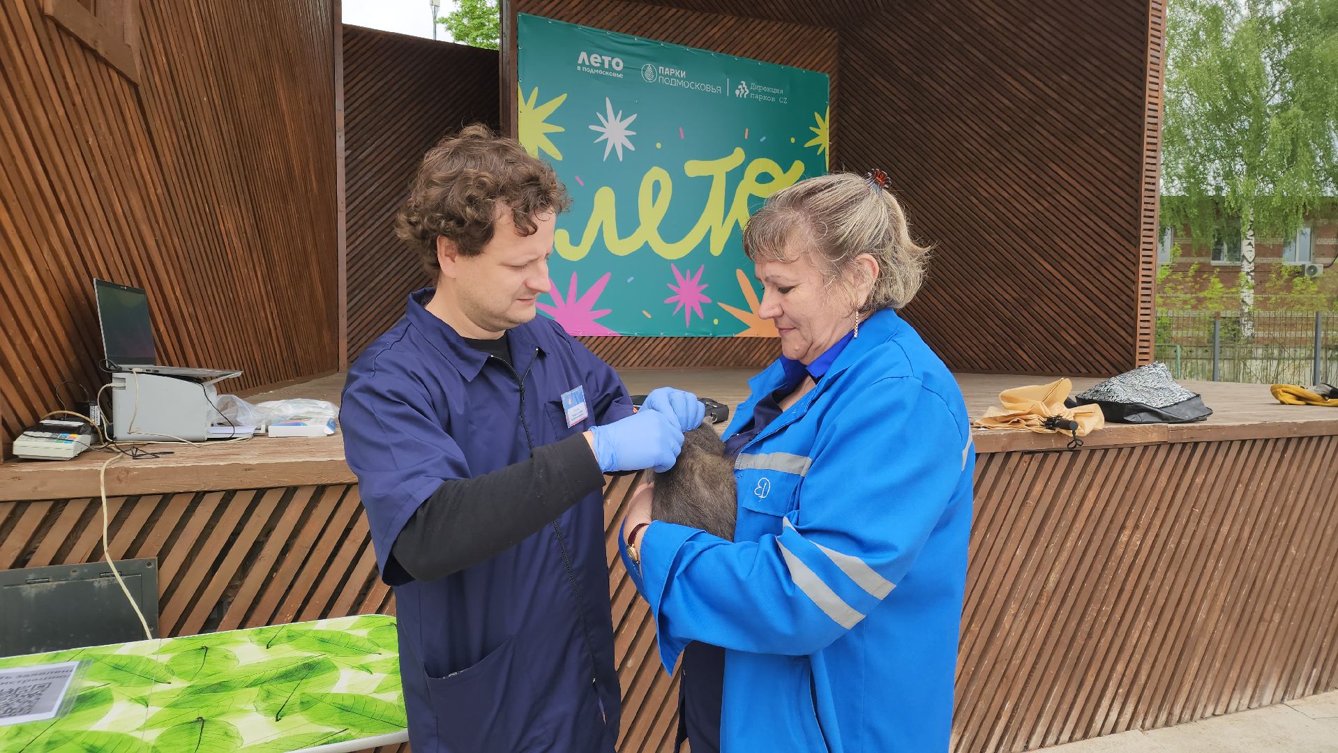 чипирование домашних животных, орехово-зуевский округ, ликино-дулево,