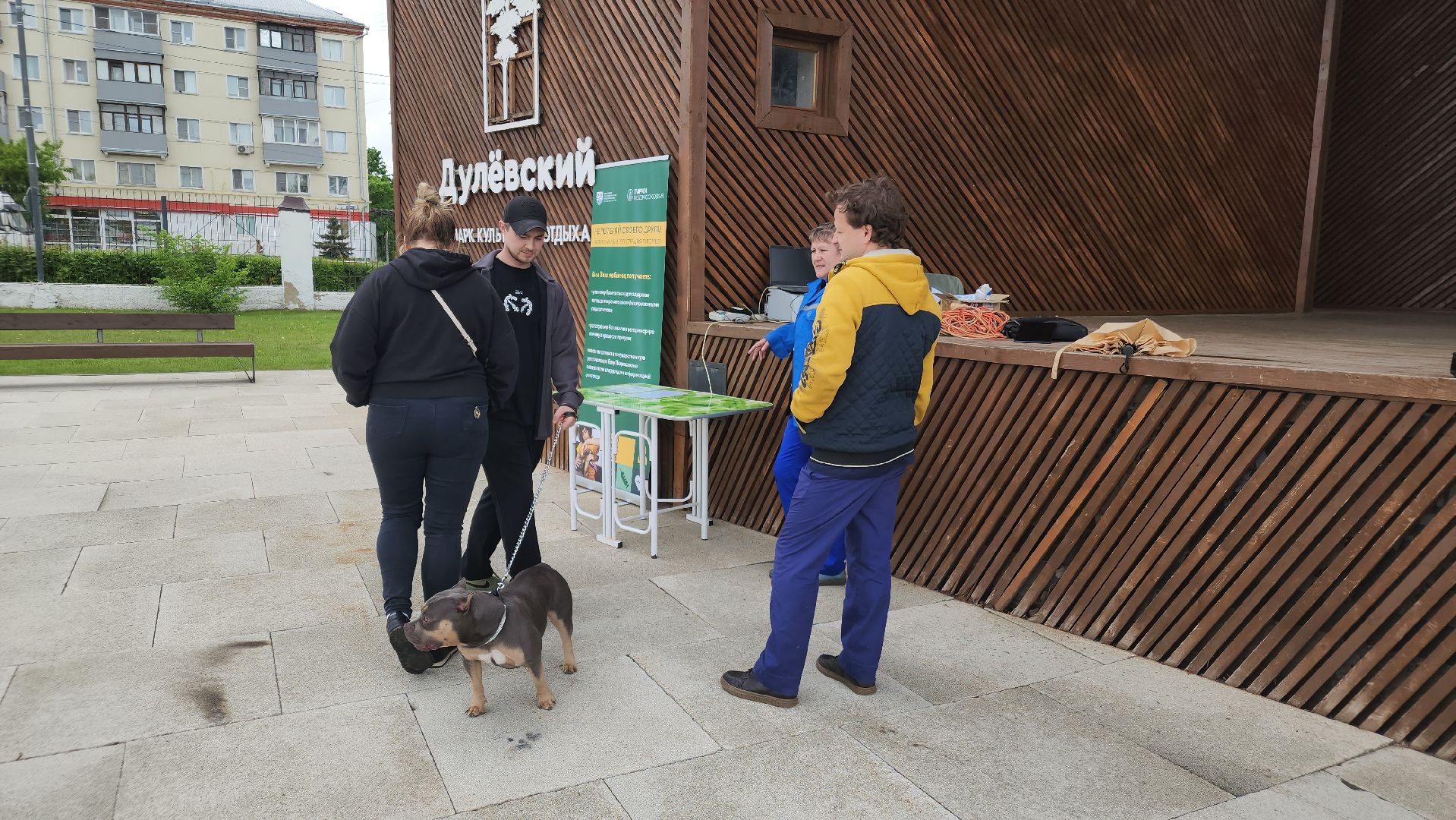 чипирование домашних животных, орехово-зуевский округ, ликино-дулево,
