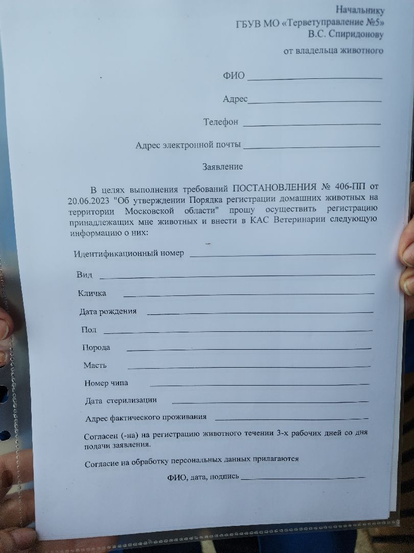 чипирование домашних животных, орехово-зуевский округ, ликино-дулево,