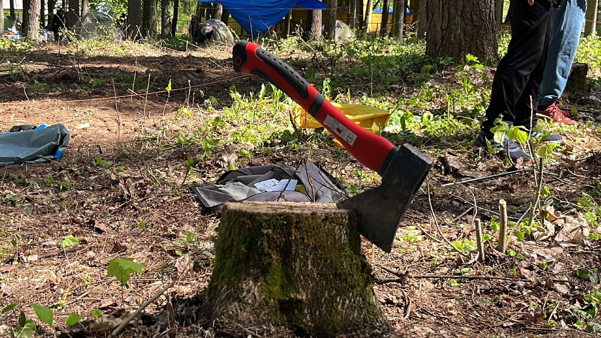 наро-фоминский городской округ, ДОЛ Литвиново, Школа безопасности , Движение первых московской области, главное управление МЧС России по Московской области ,