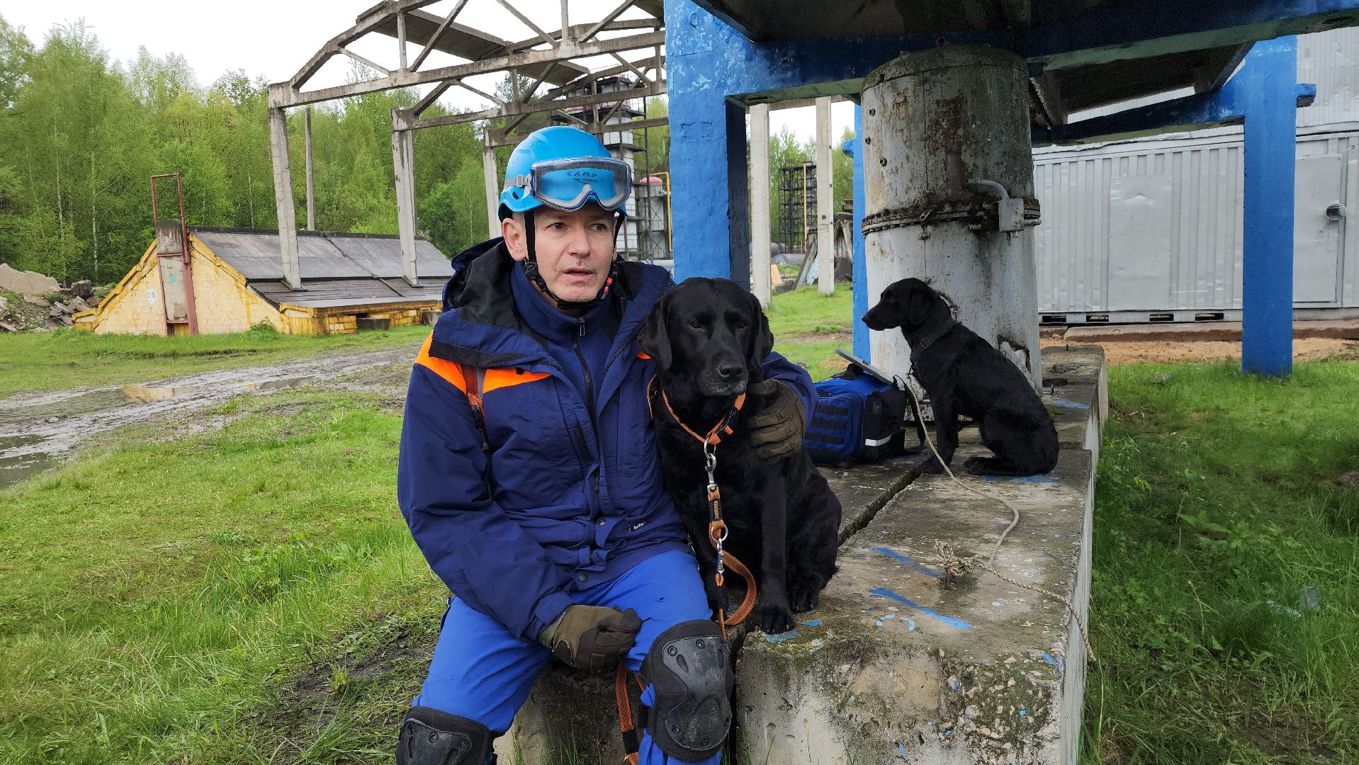 учения спасателей, кинолог, международные учения СНГ, ногинск, богородский городской округ,