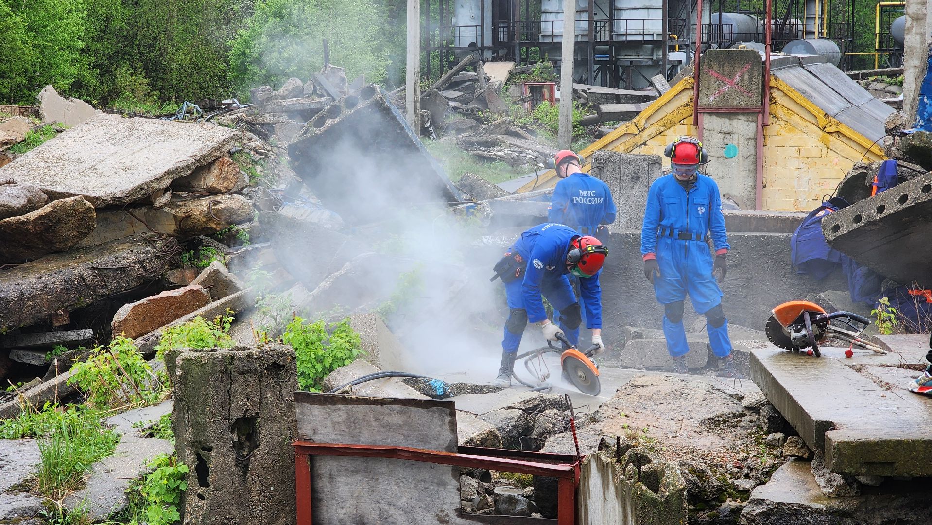 учения спасателей, кинолог, международные учения СНГ, ногинск, богородский городской округ,