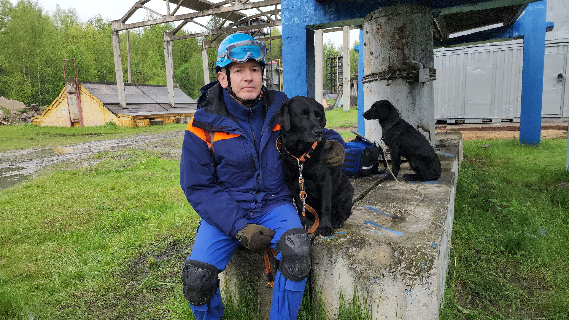 учения спасателей, кинолог, международные учения СНГ, ногинск, богородский городской округ,