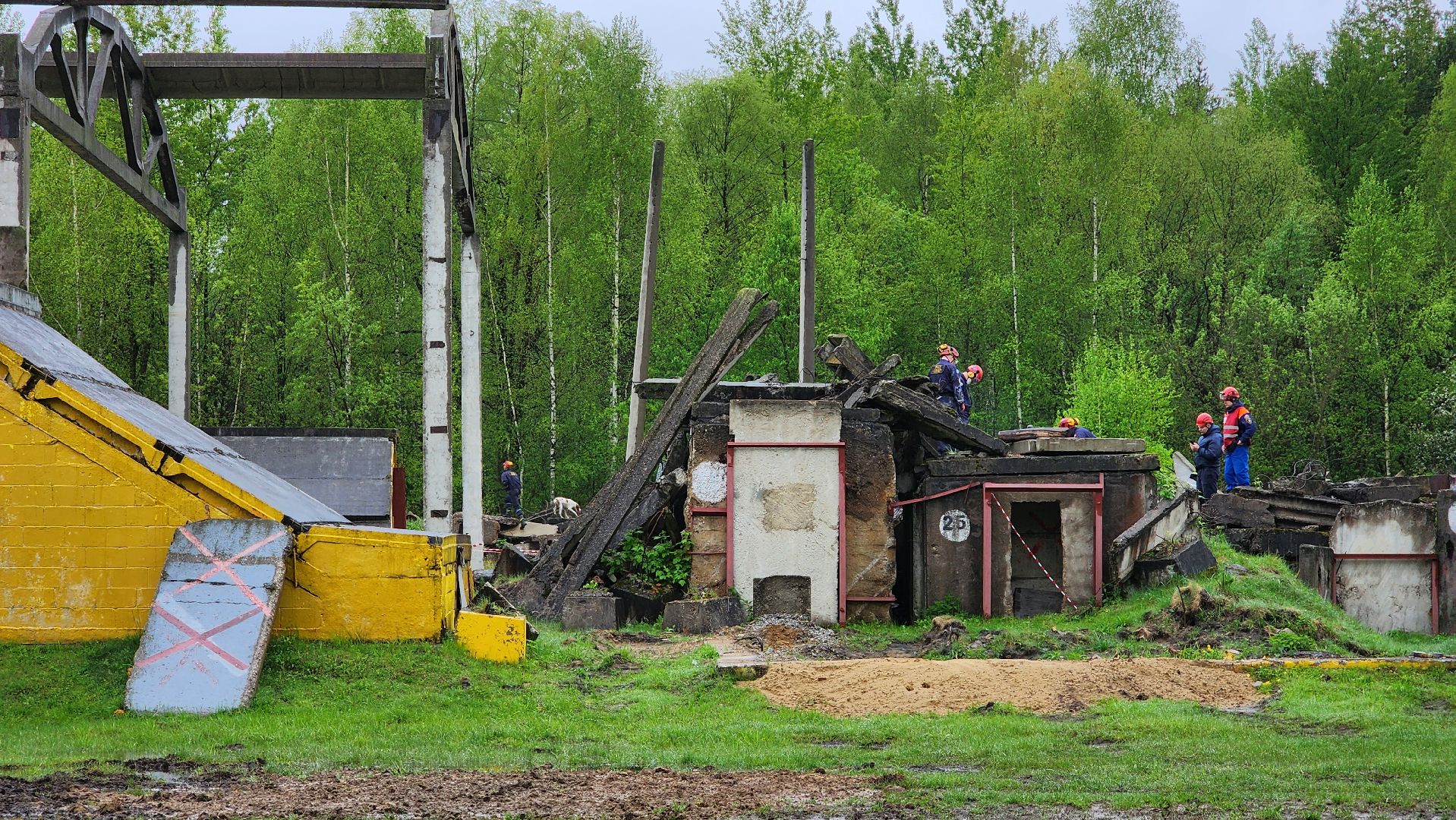 учения спасателей, кинолог, международные учения СНГ, ногинск, богородский городской округ,