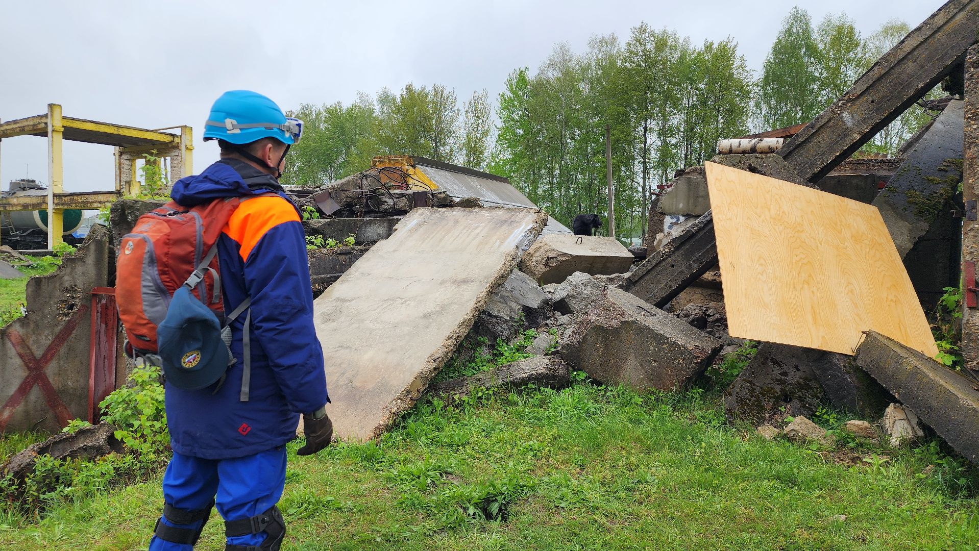 учения спасателей, кинолог, международные учения СНГ, ногинск, богородский городской округ,