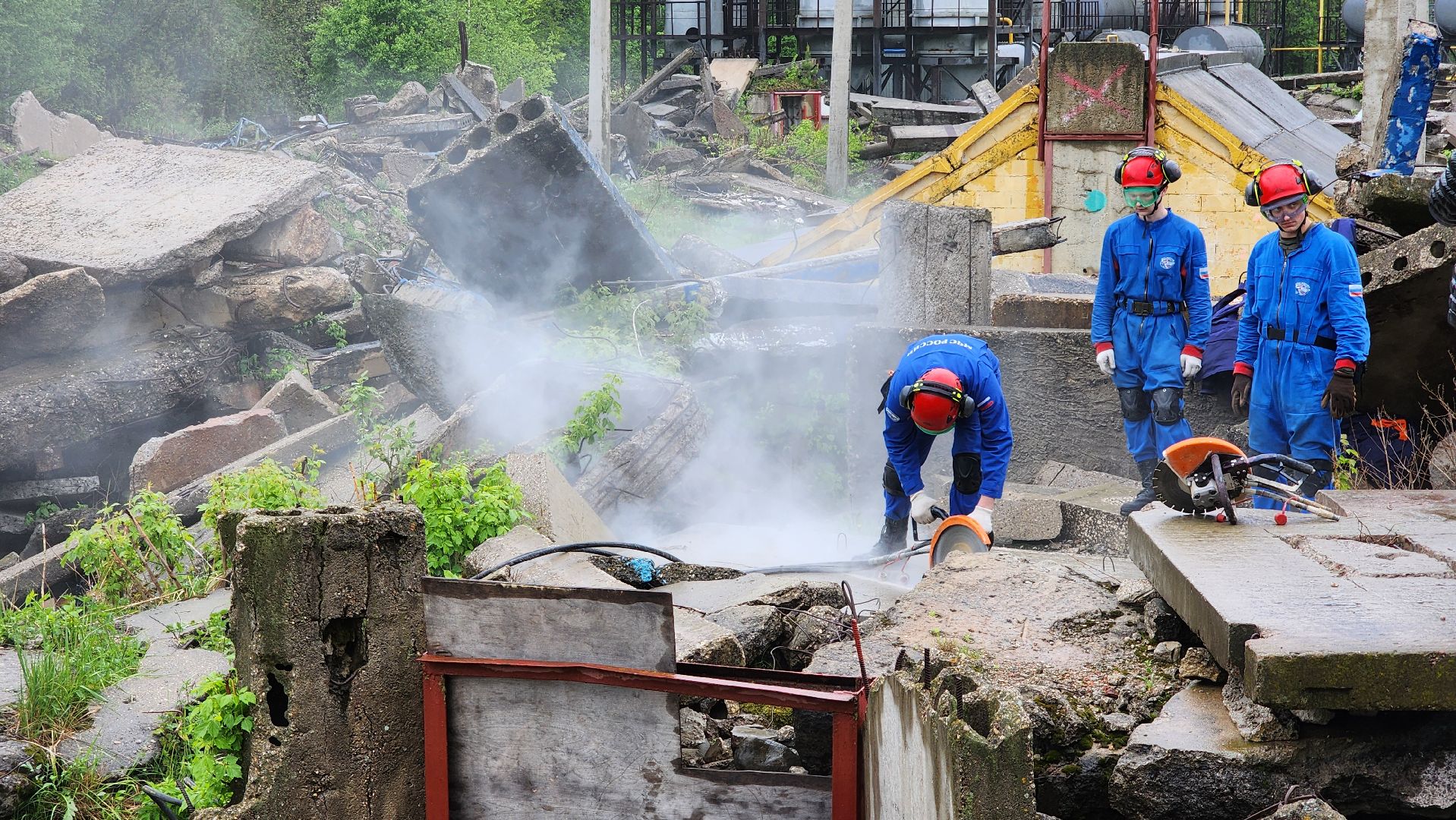 учения спасателей, кинолог, международные учения СНГ, ногинск, богородский городской округ,