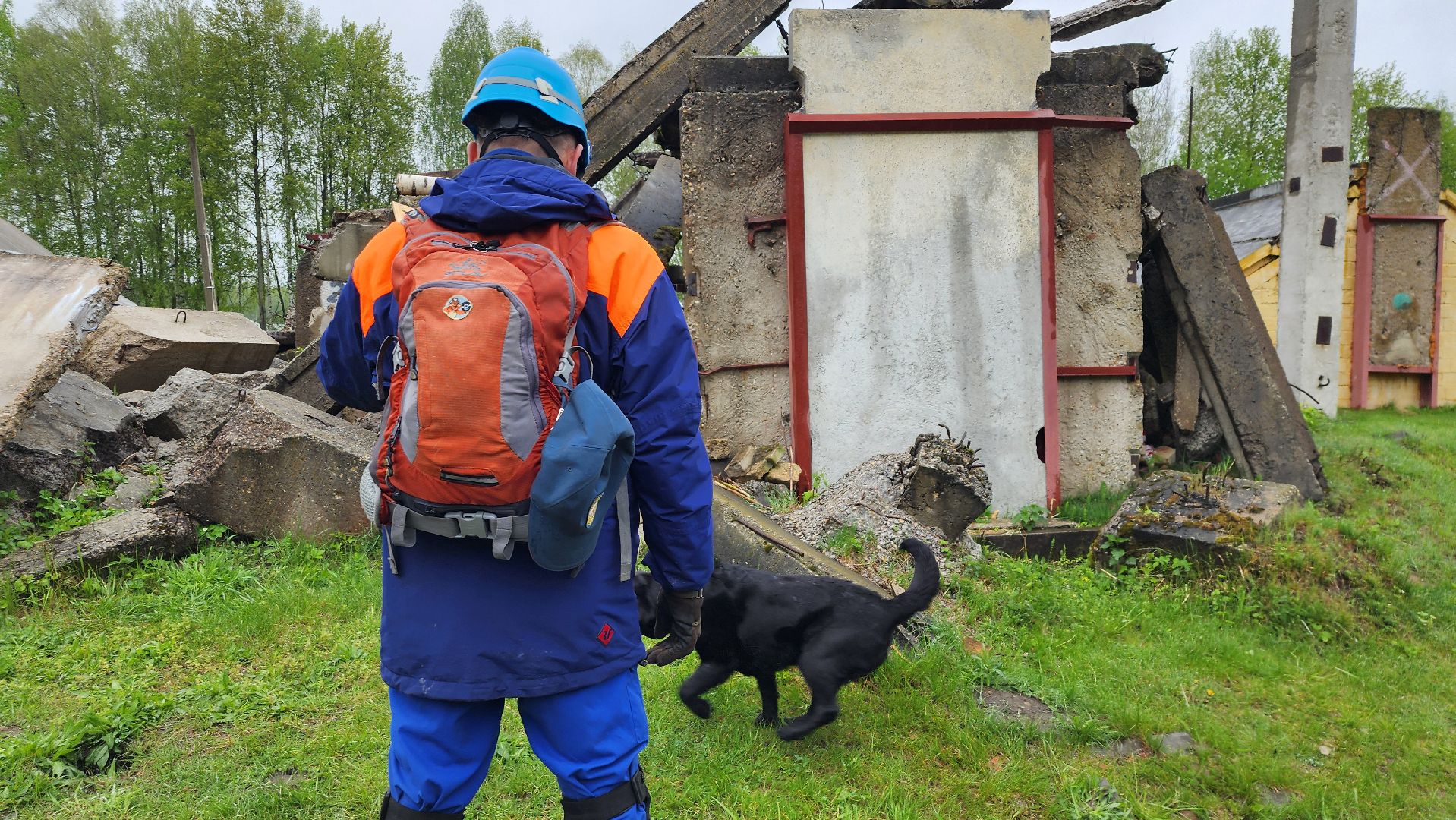 учения спасателей, кинолог, международные учения СНГ, ногинск, богородский городской округ,