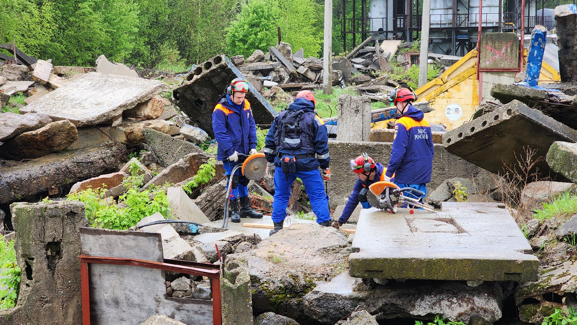 учения спасателей, кинолог, международные учения СНГ, ногинск, богородский городской округ,