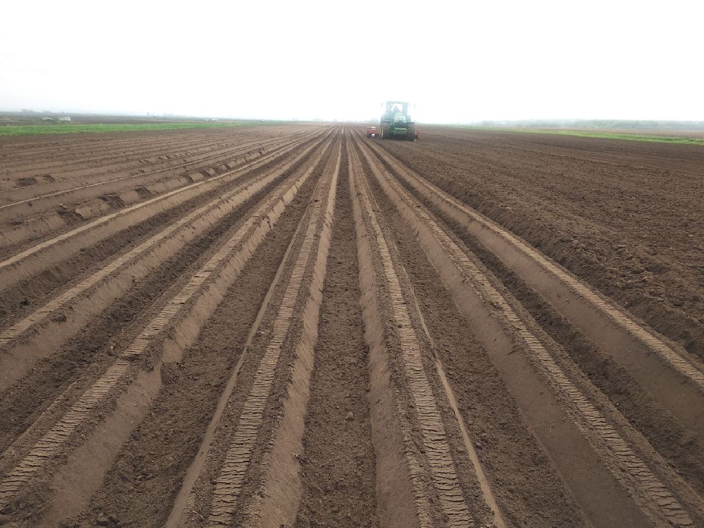 Дмитров, Агрофирма Бунятино, Минсельхоз МО