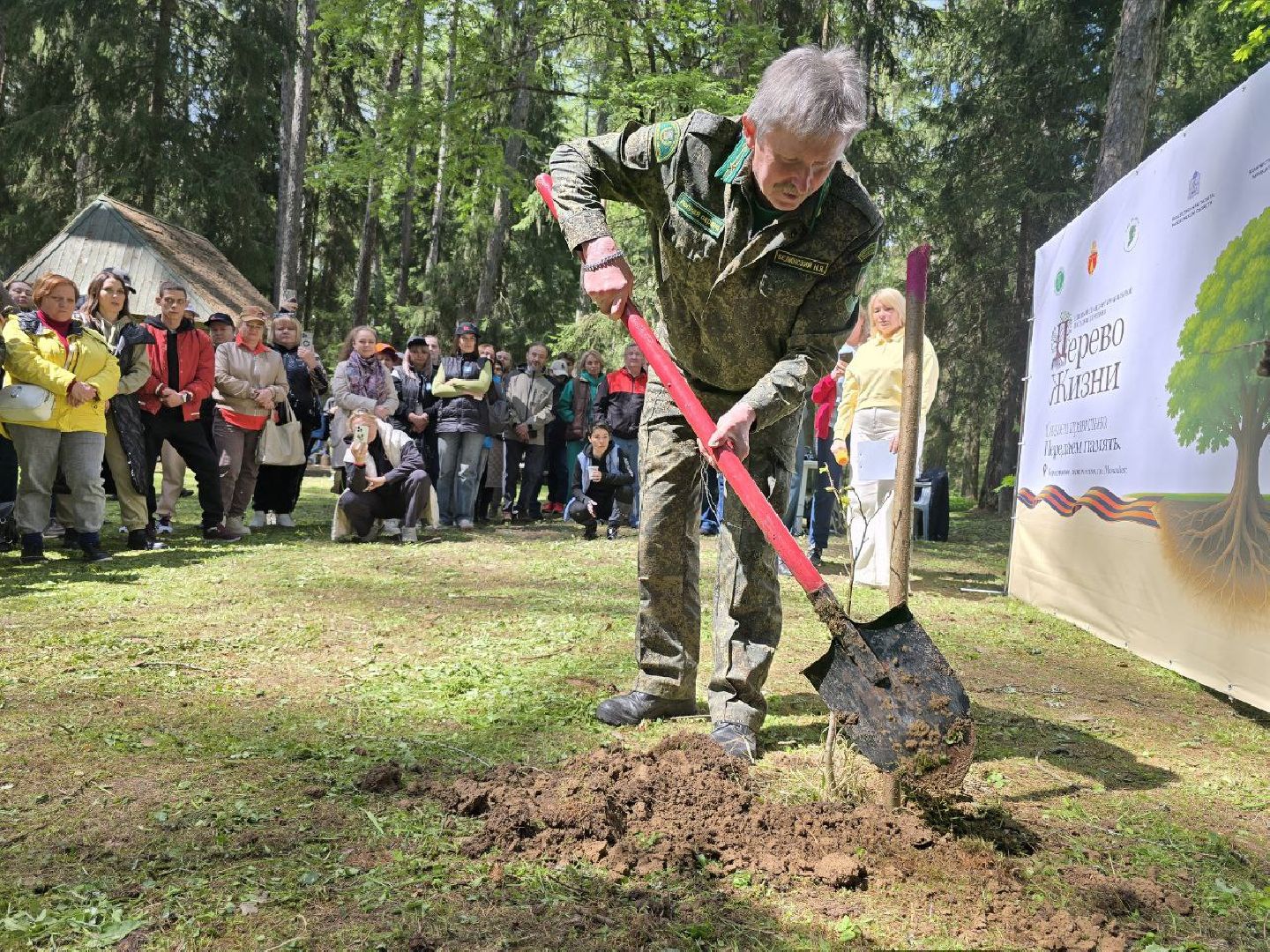 можайск, можайский муниципальный округ, подмосковье, дерево жизни, экологический проект, экология, сажаем правильно, передаем память,