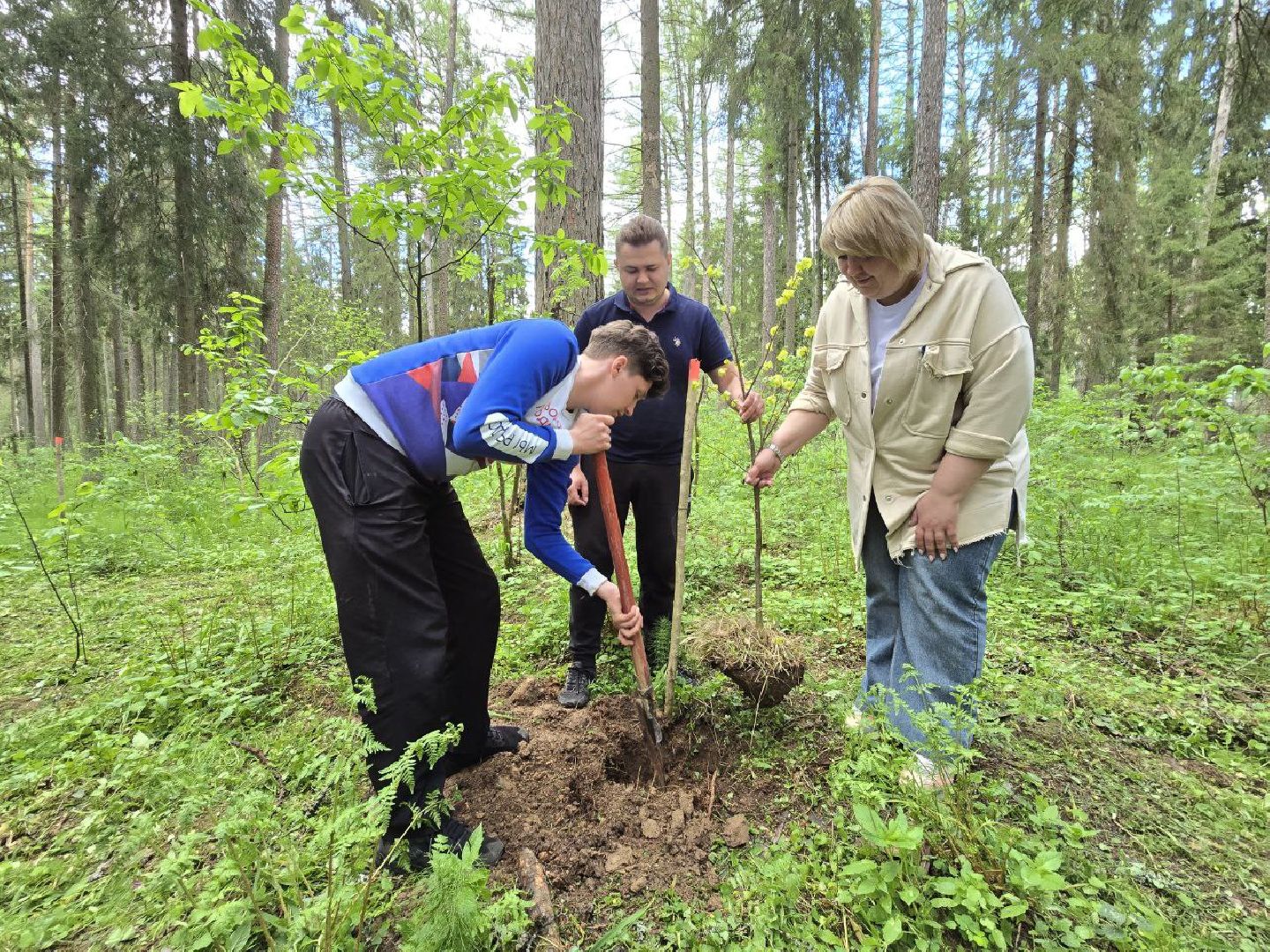 можайск, можайский муниципальный округ, подмосковье, дерево жизни, экологический проект, экология, сажаем правильно, передаем память,