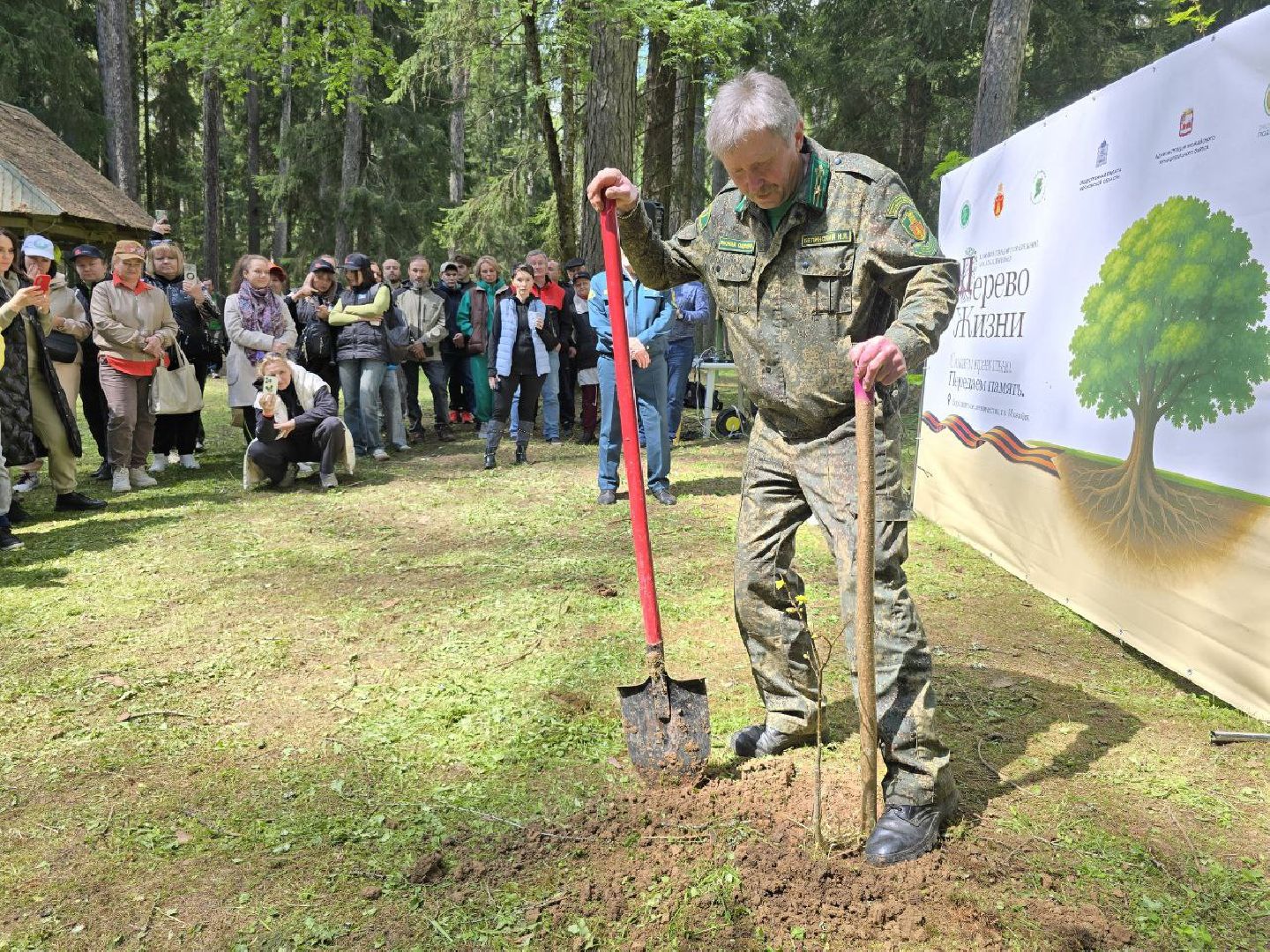 можайск, можайский муниципальный округ, подмосковье, дерево жизни, экологический проект, экология, сажаем правильно, передаем память,