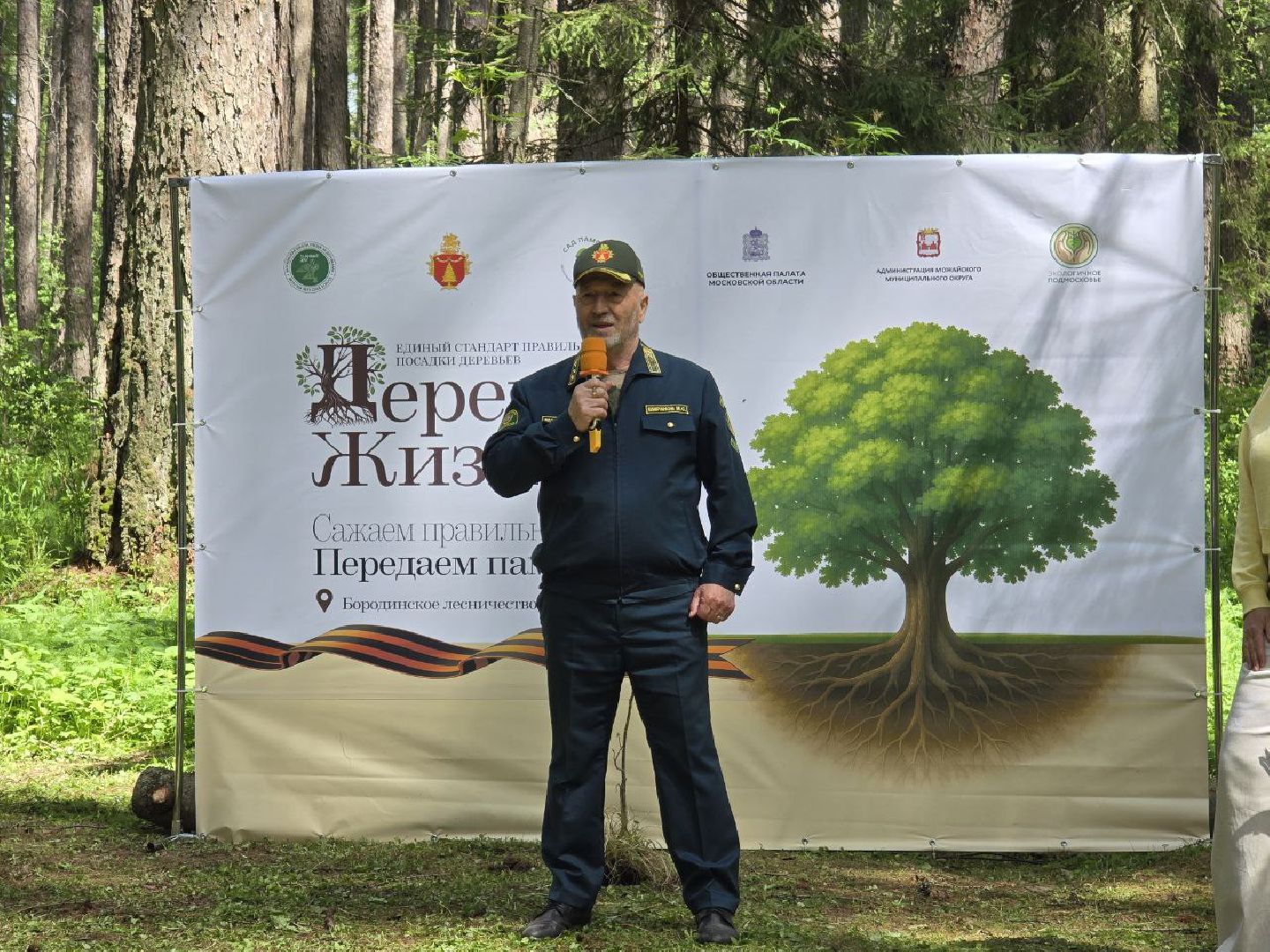 можайск, можайский муниципальный округ, подмосковье, дерево жизни, экологический проект, экология, сажаем правильно, передаем память,