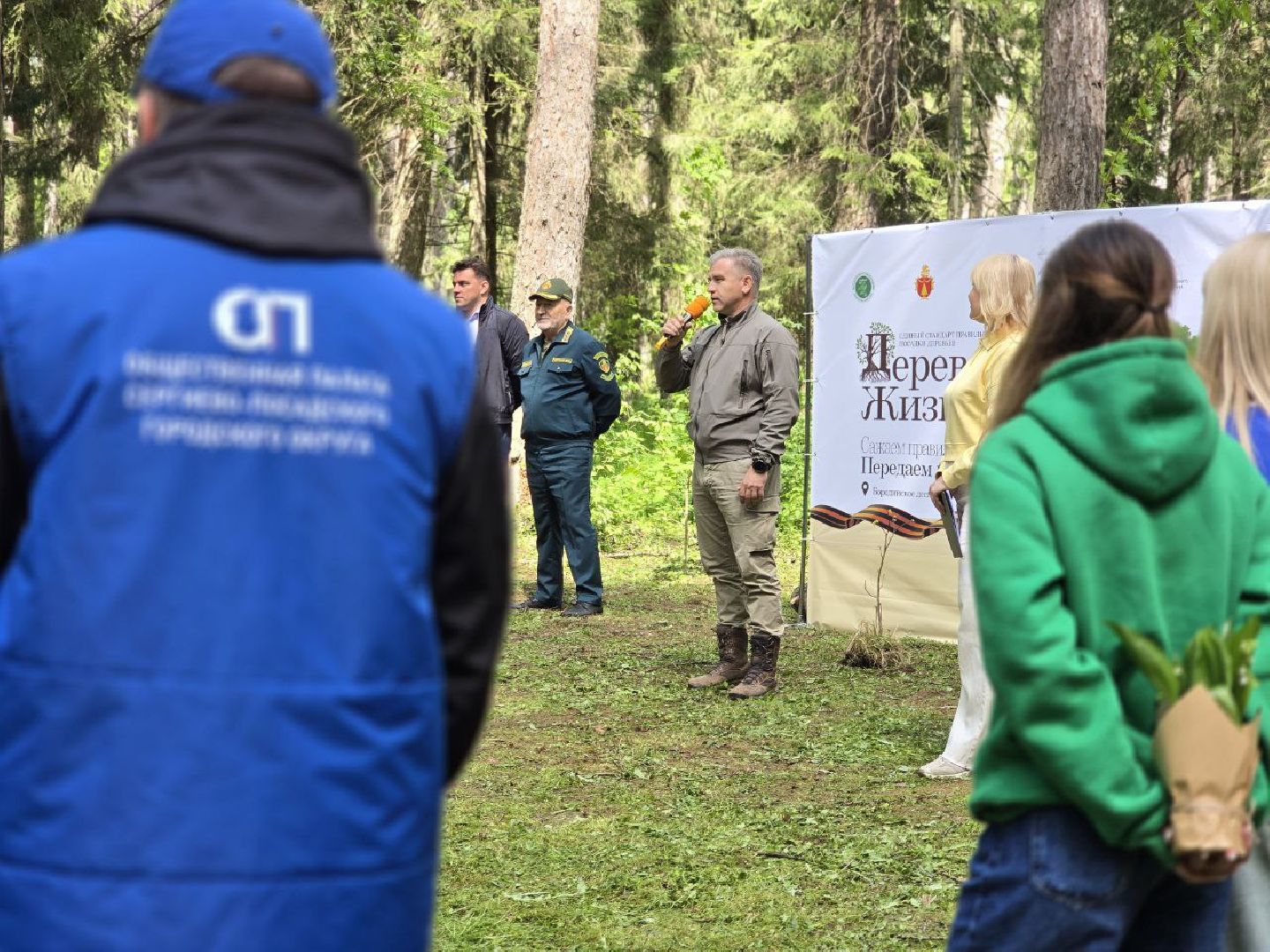 можайск, можайский муниципальный округ, подмосковье, дерево жизни, экологический проект, экология, сажаем правильно, передаем память,