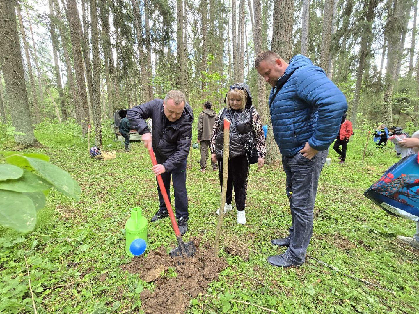 можайск, можайский муниципальный округ, подмосковье, дерево жизни, экологический проект, экология, сажаем правильно, передаем память,