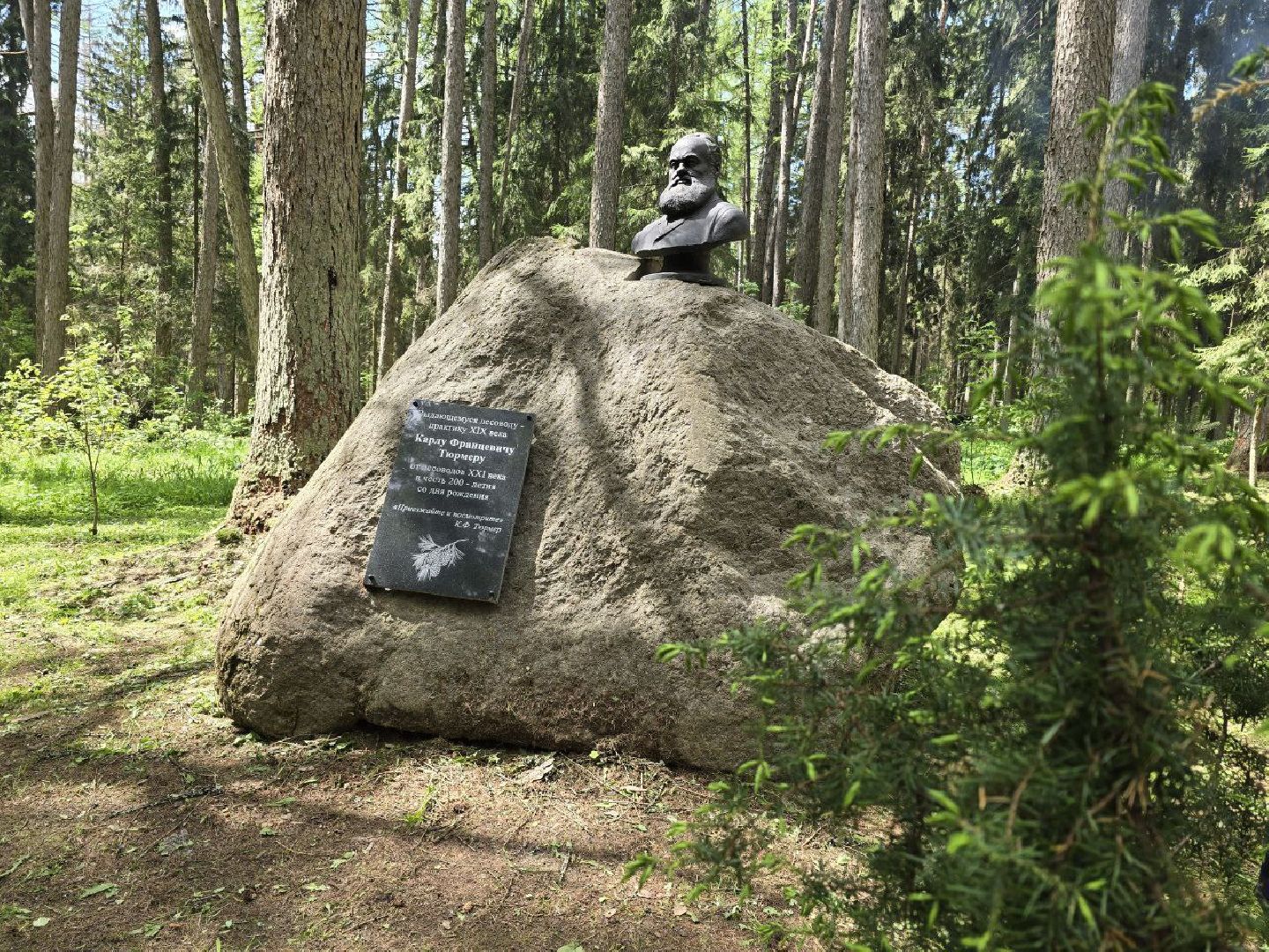 можайск, можайский муниципальный округ, подмосковье, дерево жизни, экологический проект, экология, сажаем правильно, передаем память,