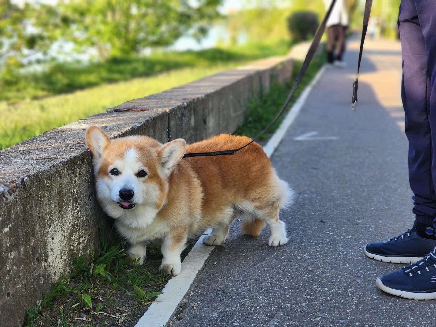 дубна, волга, день волги, экскурсия, лекция,