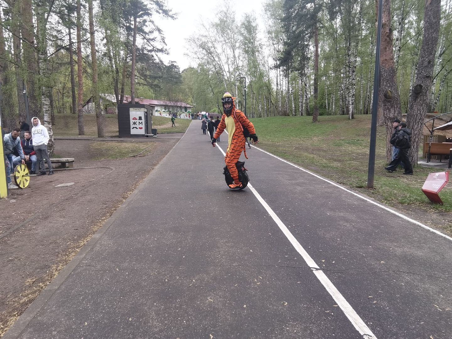 Балашиха, парки, скверы, улицы города, фотоохота, Тигруля, позитив, фотографии, видеоролики, путешествие по Балашихе