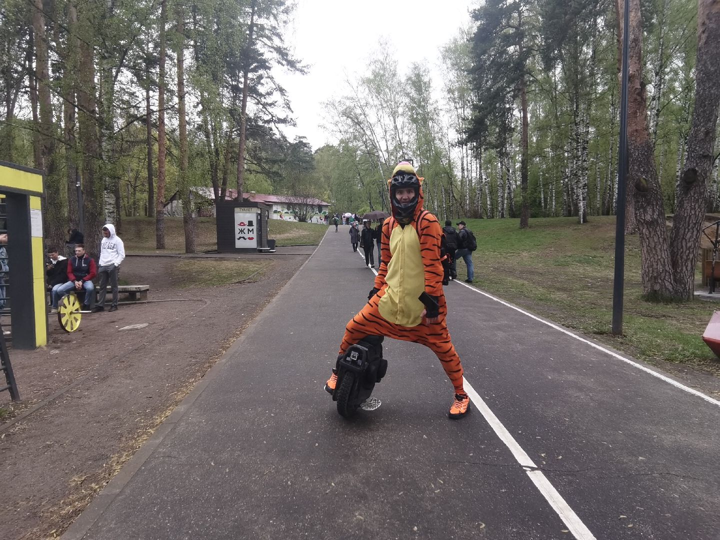 Балашиха, парки, скверы, улицы города, фотоохота, Тигруля, позитив, фотографии, видеоролики, путешествие по Балашихе