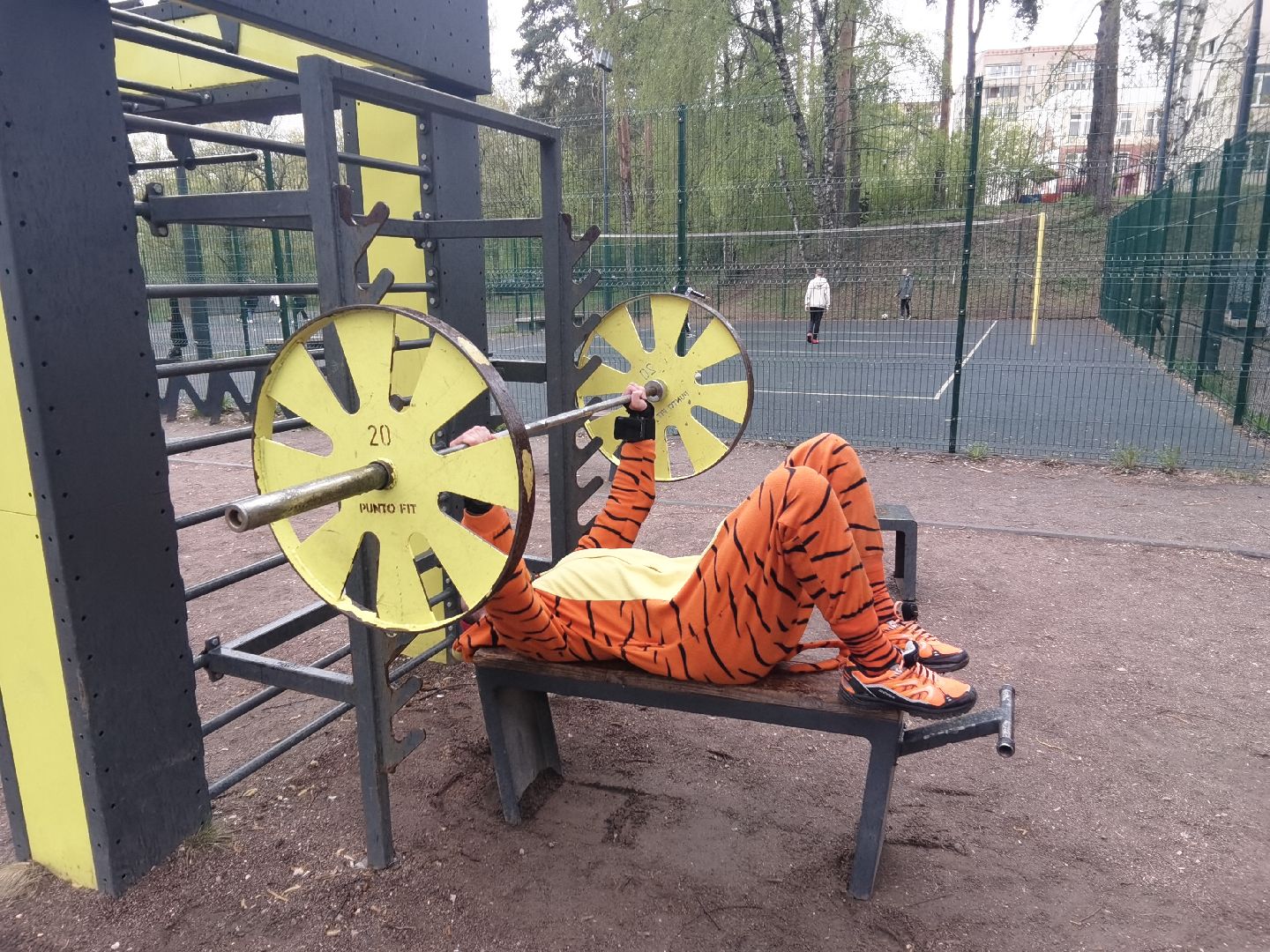 Балашиха, парки, скверы, улицы города, фотоохота, Тигруля, позитив, фотографии, видеоролики, путешествие по Балашихе