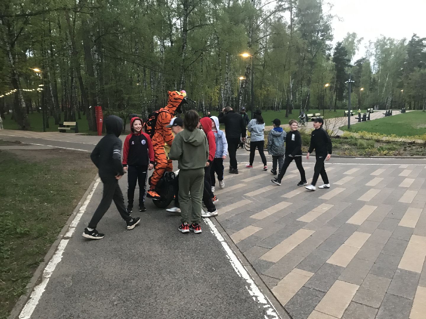 Балашиха, парки, скверы, улицы города, фотоохота, Тигруля, позитив, фотографии, видеоролики, путешествие по Балашихе