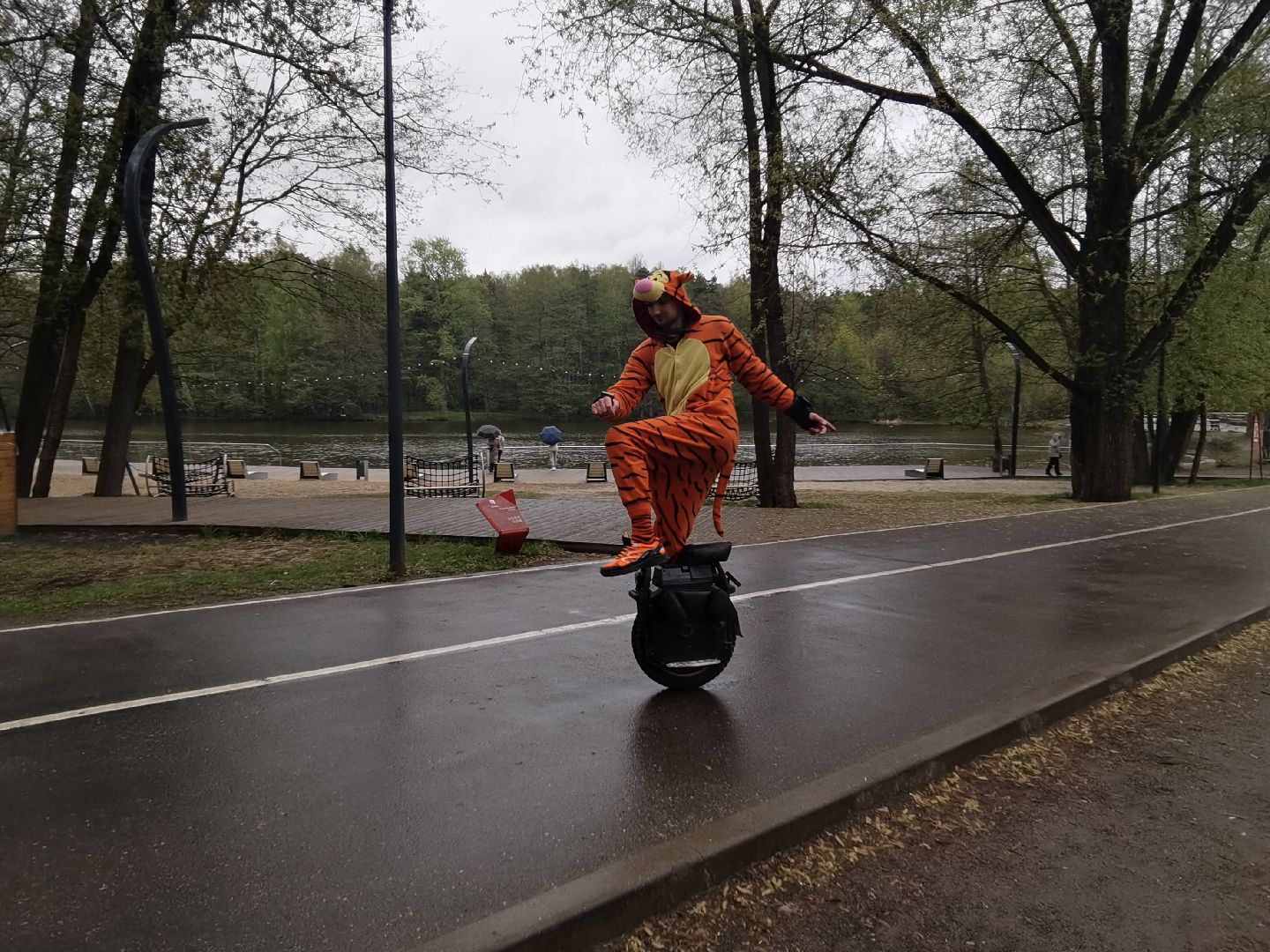 Балашиха, парки, скверы, улицы города, фотоохота, Тигруля, позитив, фотографии, видеоролики, путешествие по Балашихе