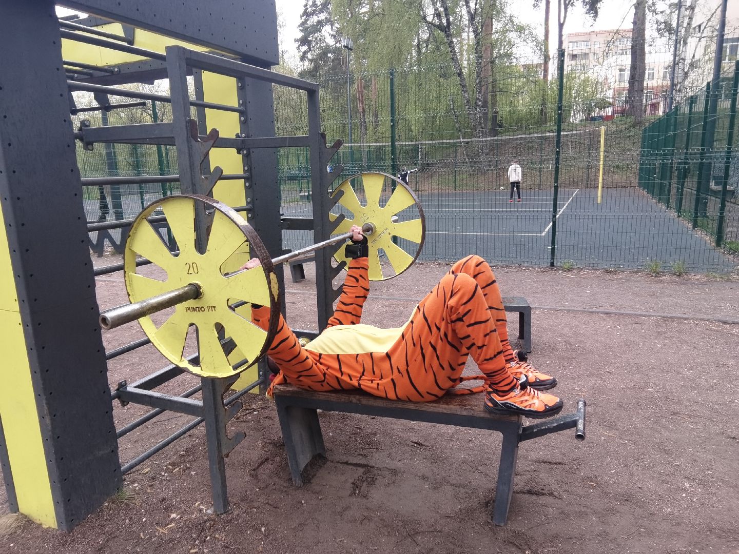 Балашиха, парки, скверы, улицы города, фотоохота, Тигруля, позитив, фотографии, видеоролики, путешествие по Балашихе