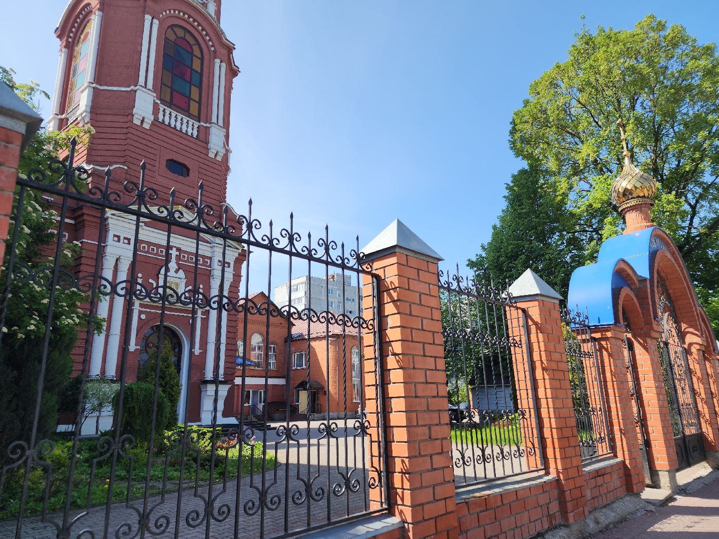 донорская акция, орехово-зуево,