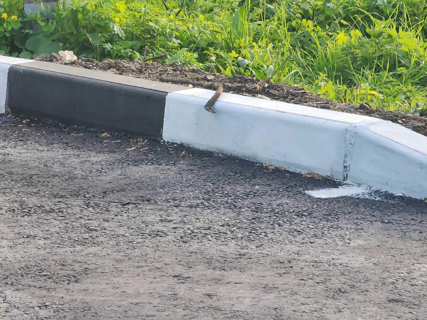 парк, павловский посад, парковка,