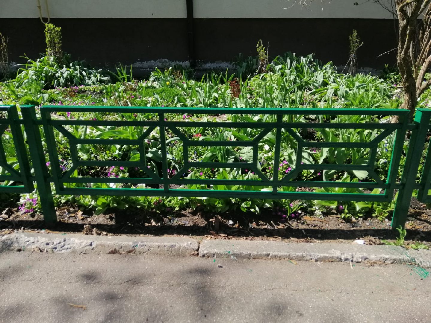 жкх, благоустройство, городской округ восход,