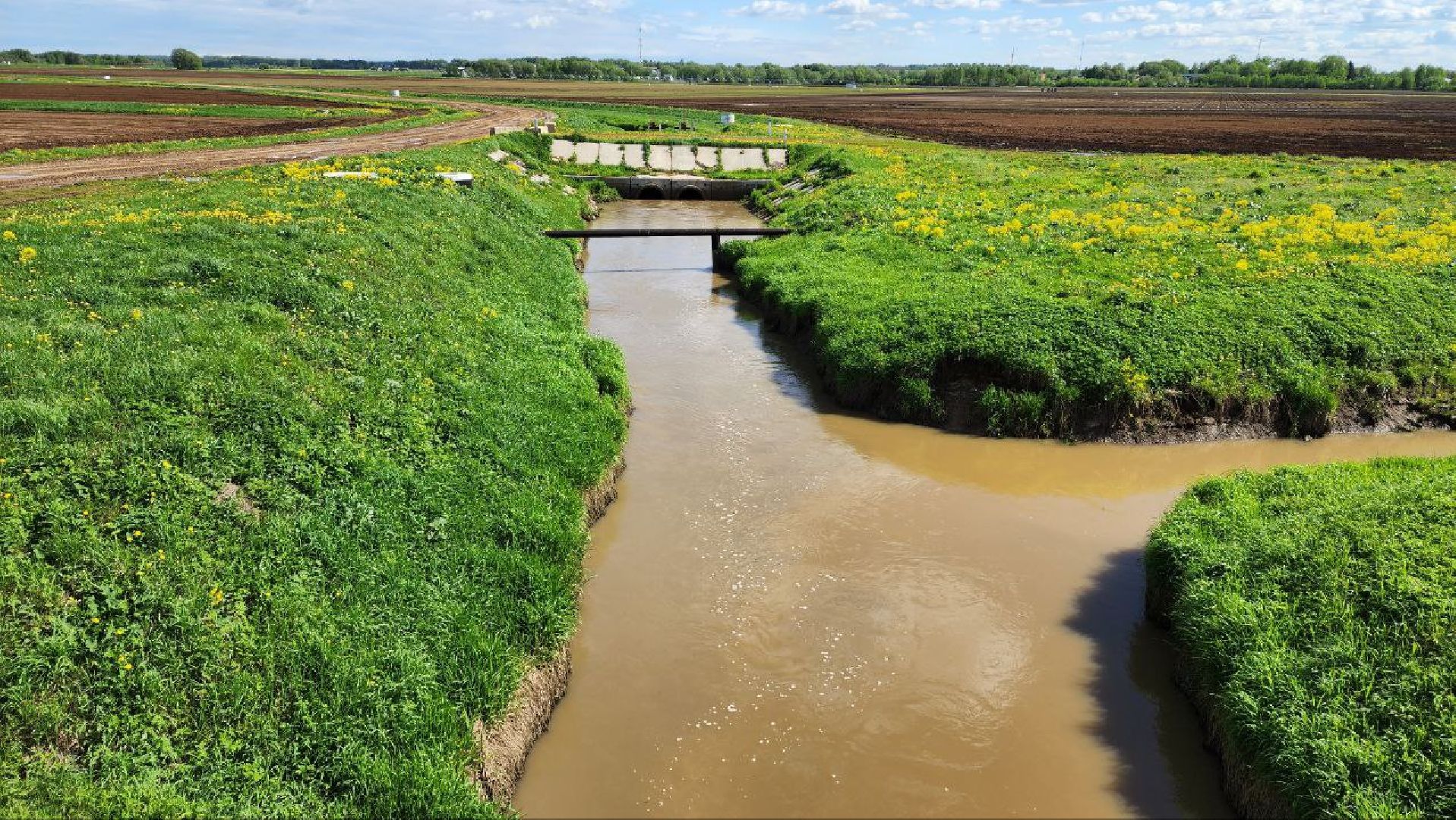 Дмитров, Минсельхоз, Мособлдума, Агрохолдинг, Дмитровские овощи,
