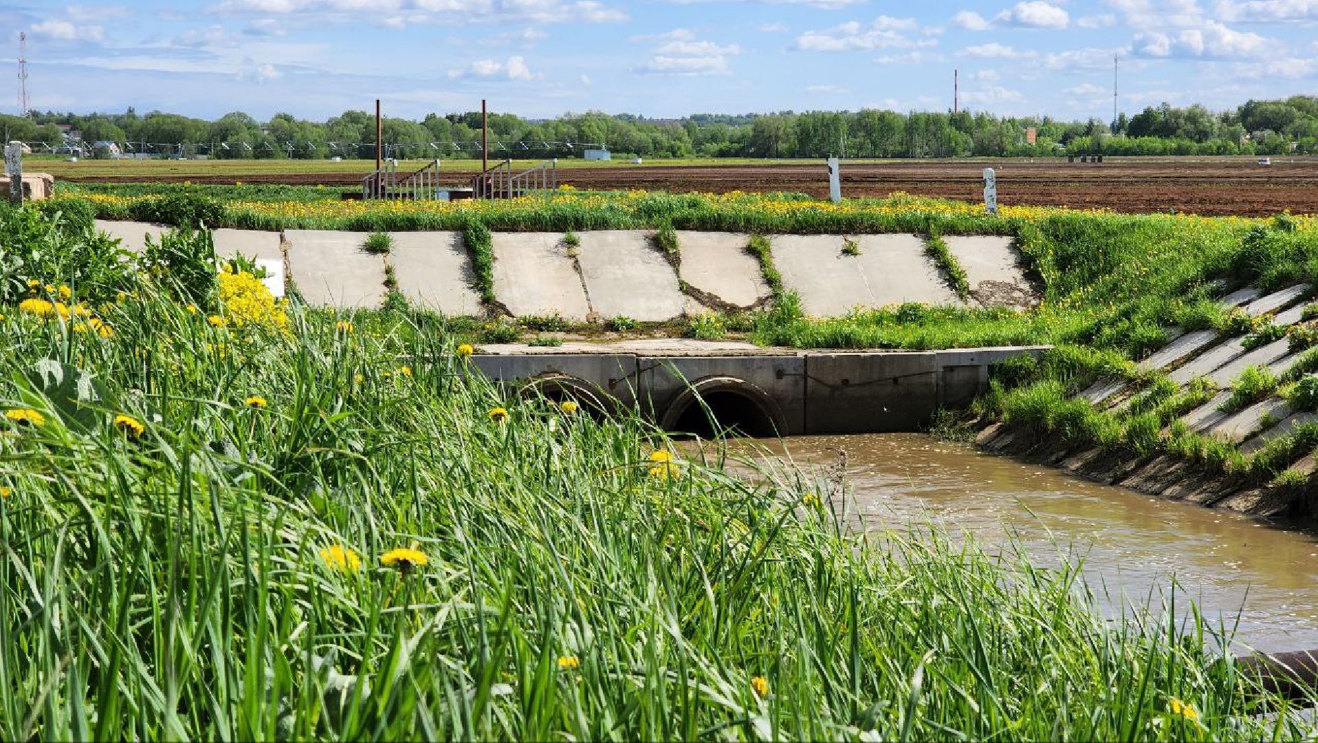 Дмитров, Минсельхоз, Мособлдума, Агрохолдинг, Дмитровские овощи,