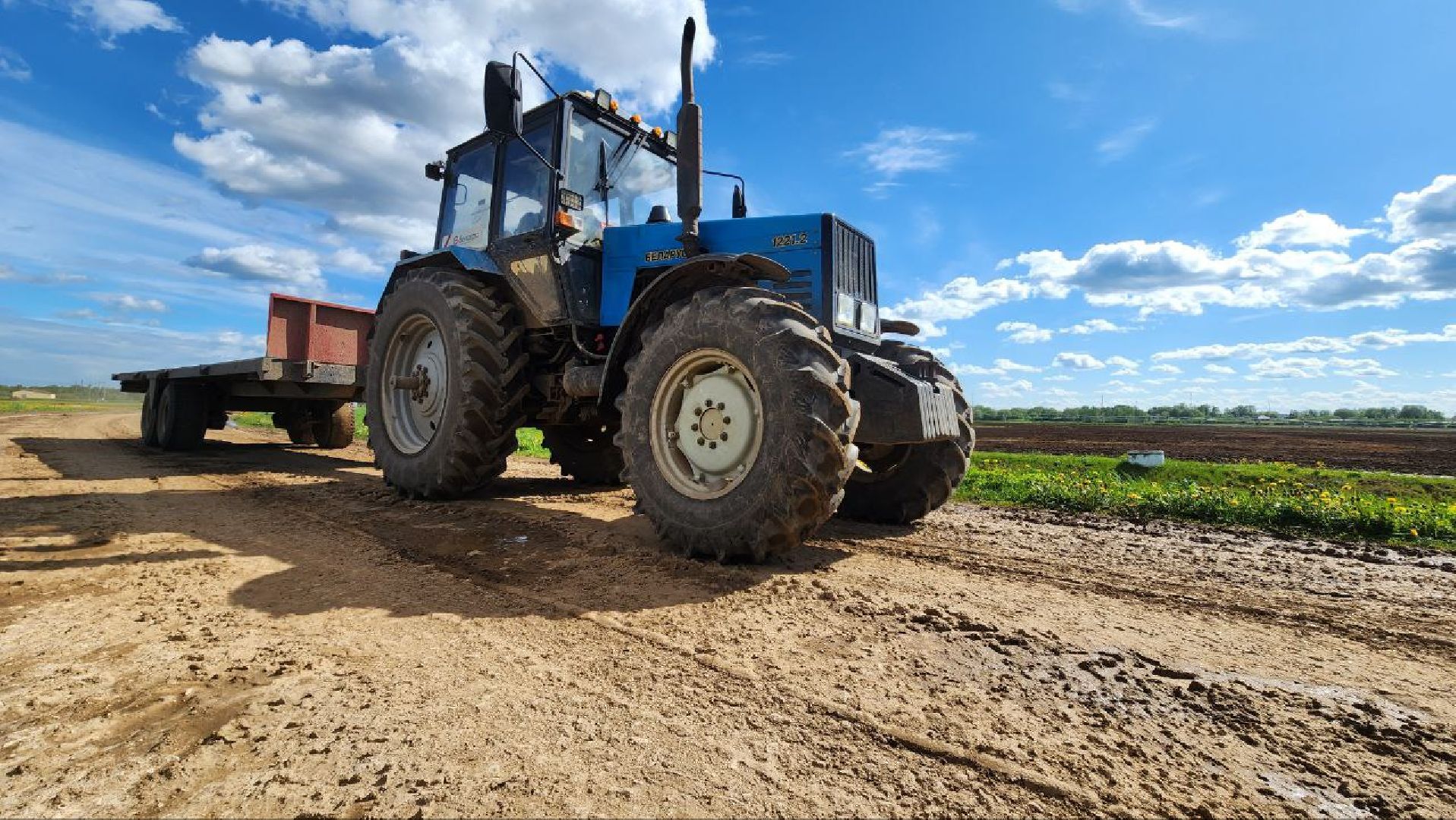 Дмитров, Минсельхоз, Мособлдума, Агрохолдинг, Дмитровские овощи,