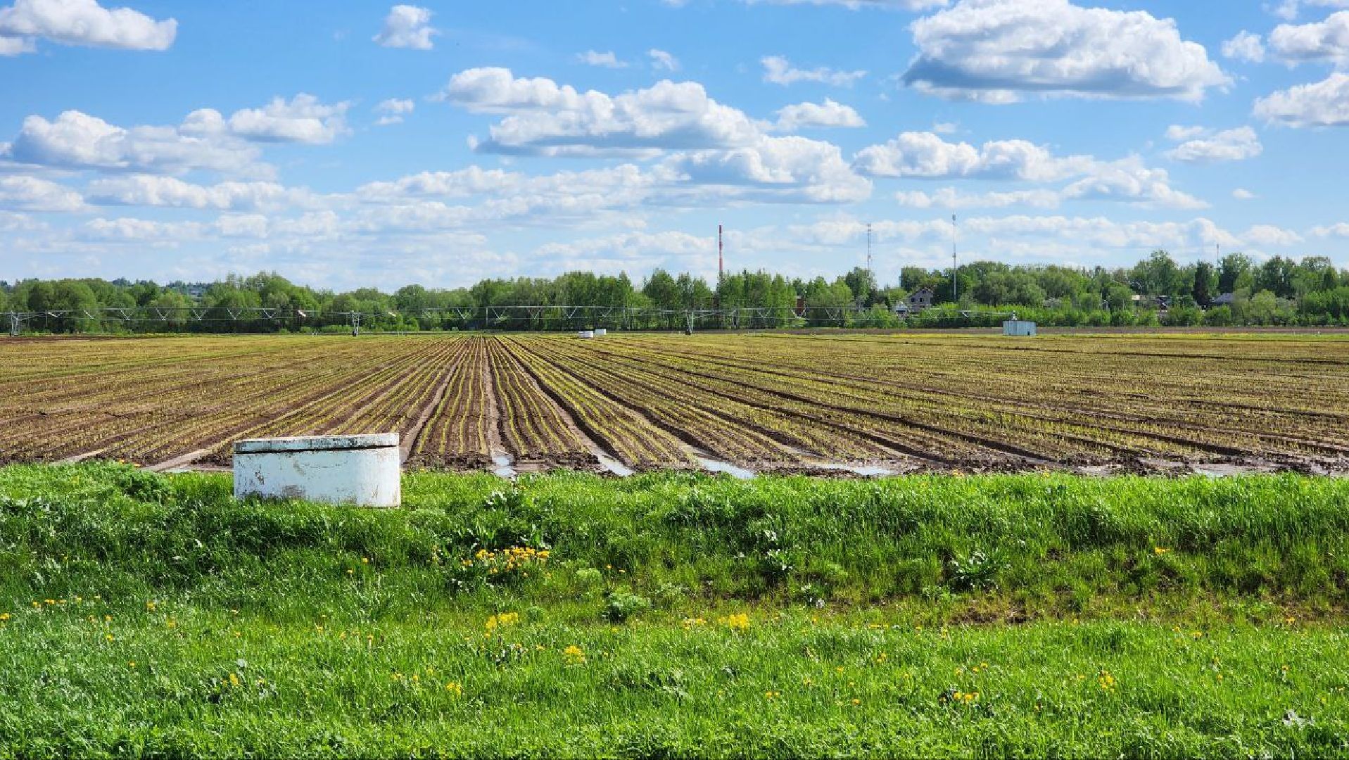 Дмитров, Минсельхоз, Мособлдума, Агрохолдинг, Дмитровские овощи,