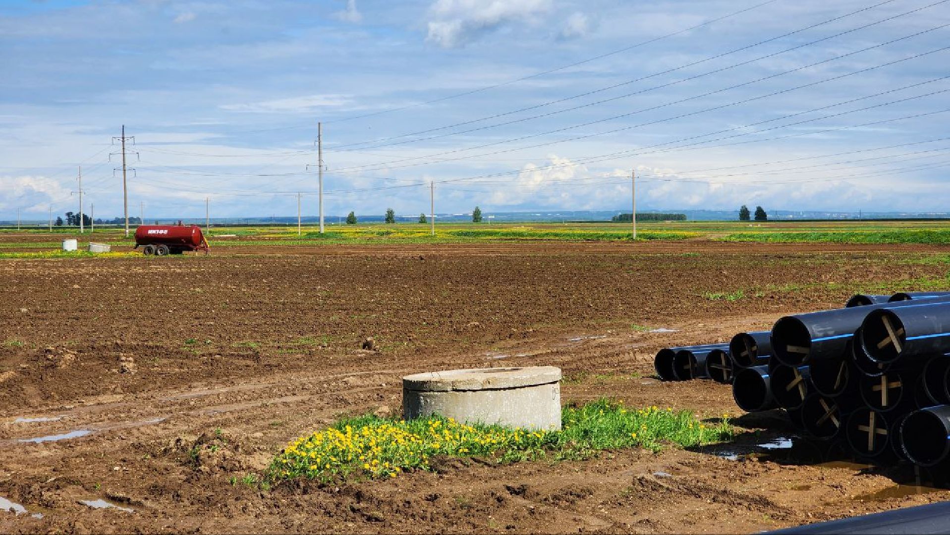 Дмитров, Минсельхоз, Мособлдума, Агрохолдинг, Дмитровские овощи,