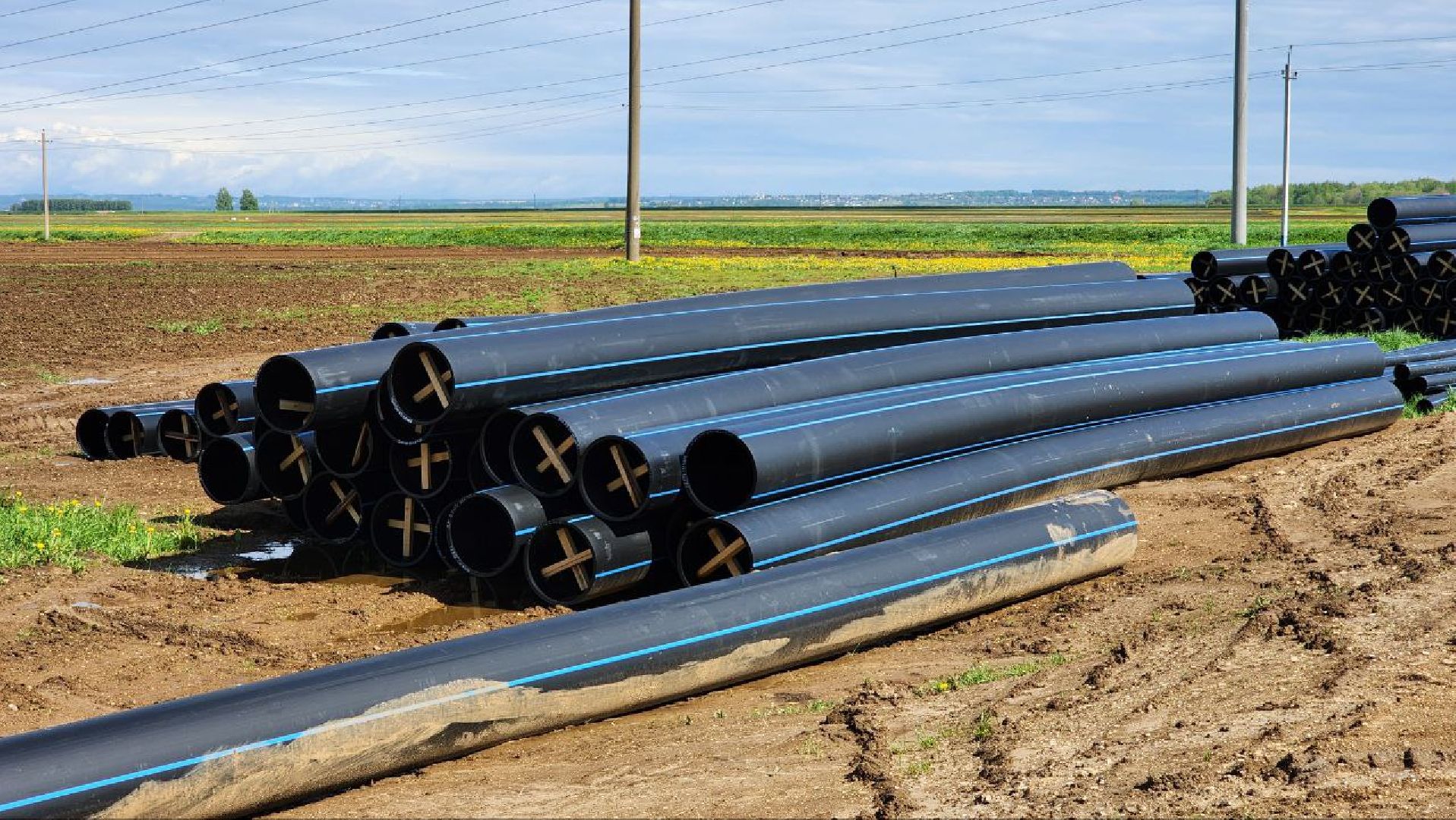 Дмитров, Минсельхоз, Мособлдума, Агрохолдинг, Дмитровские овощи,