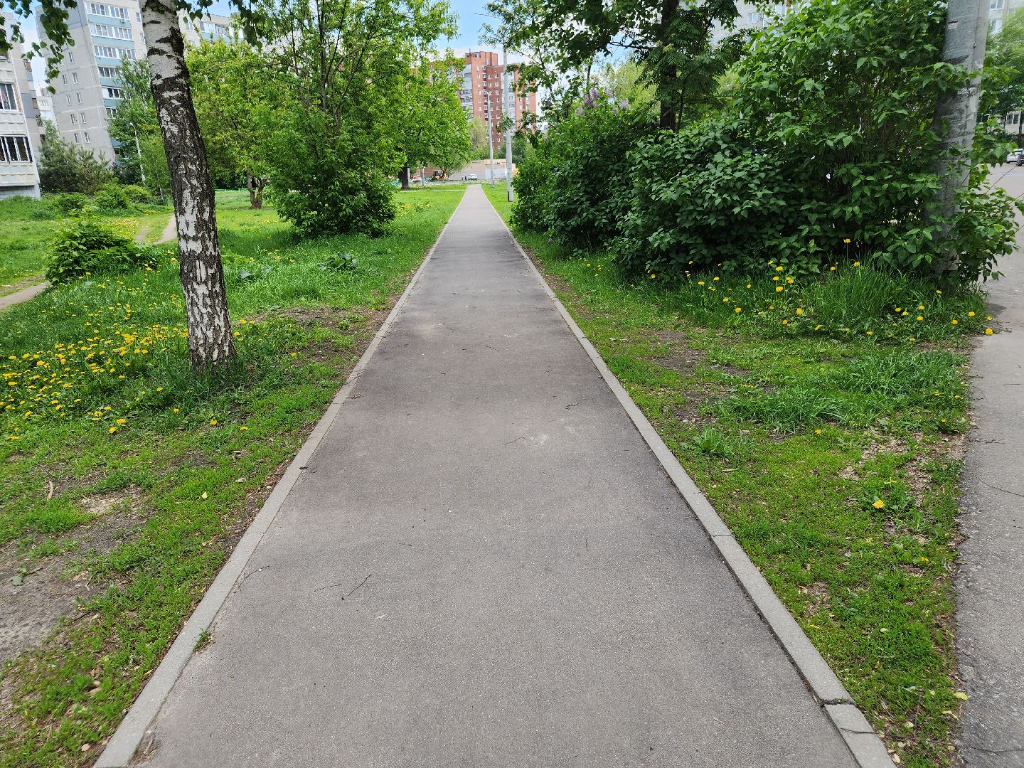 пешком в подмосковье, благоустройство 2025, орехово-зуевский округ,