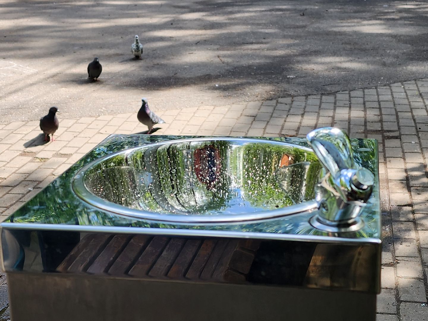 королёв, благоустройство , центральный городской парк в королеве ,