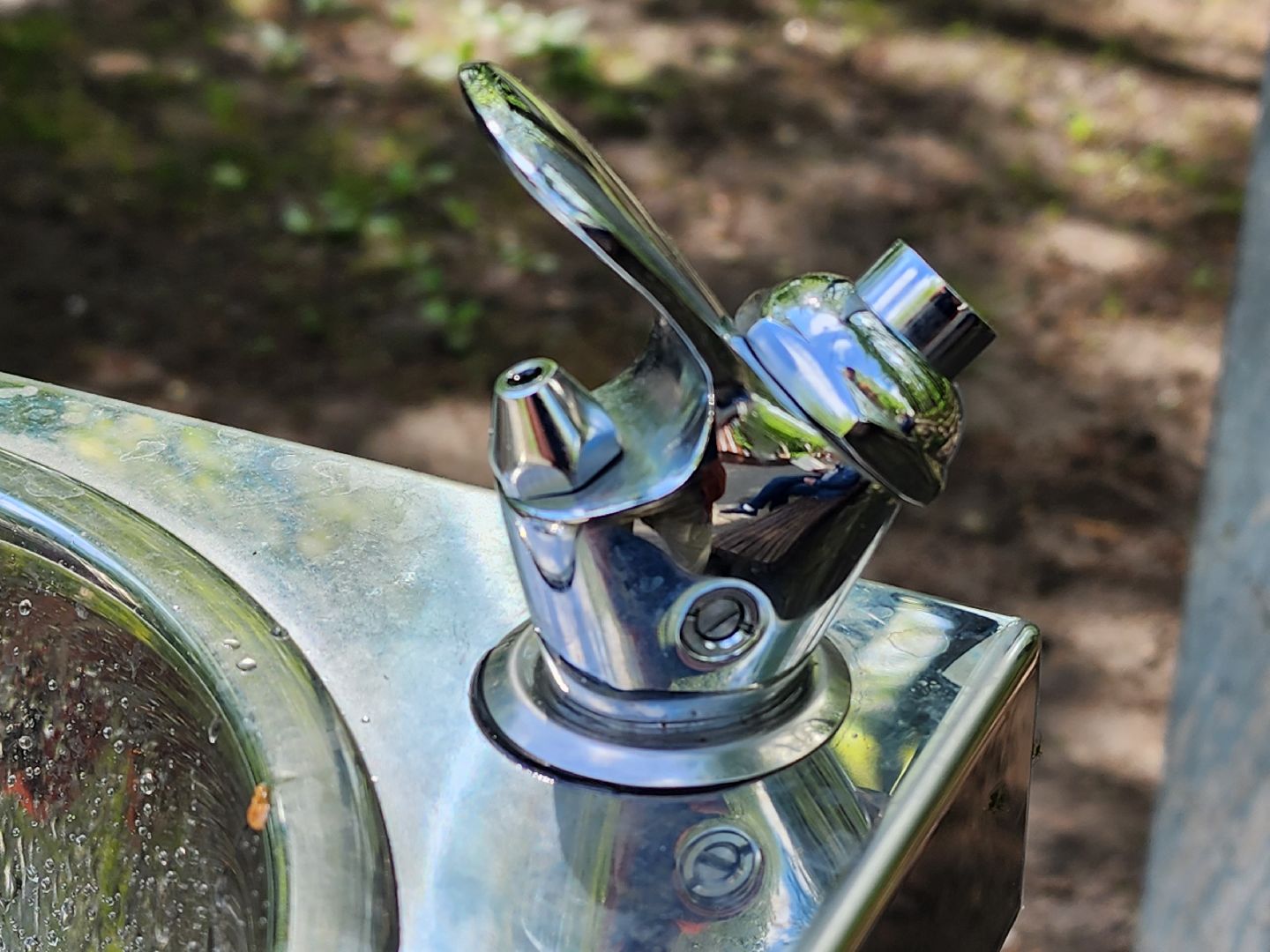 королёв, благоустройство , центральный городской парк в королеве ,