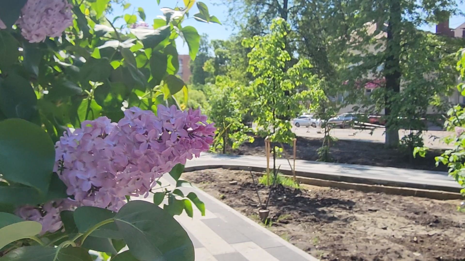 королёв, благоустройство сквера в королеве, ркк энергия в королеве,