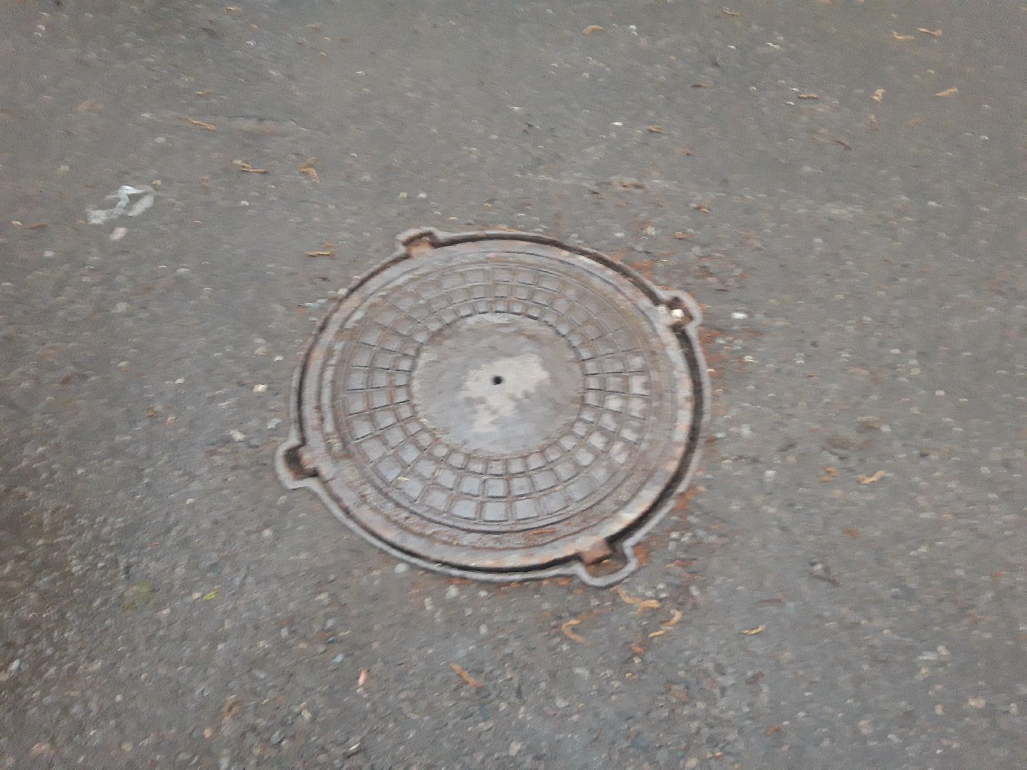 Пушкино, двор, доброе дело,