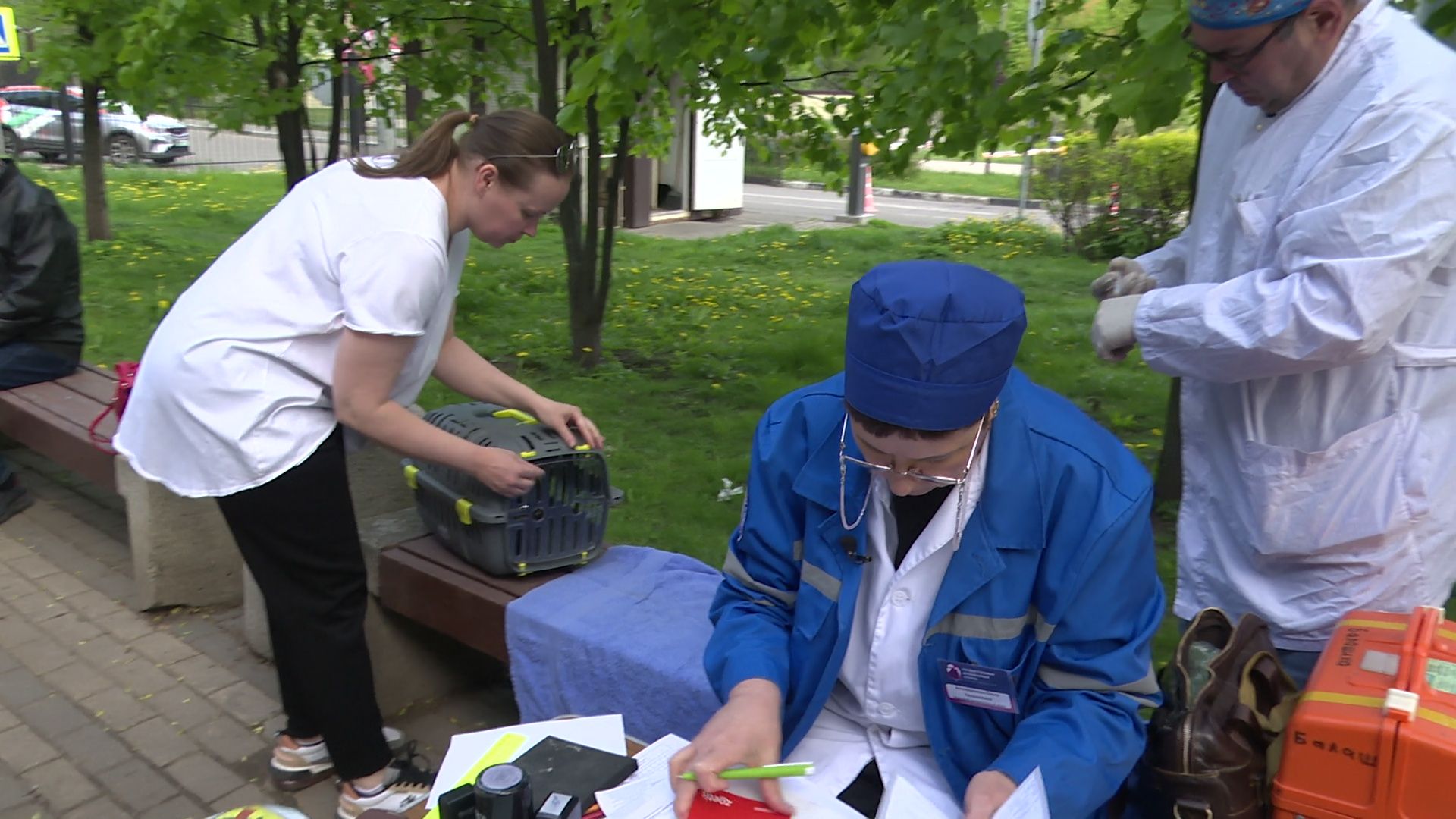 реутов, вакцинация, кошки, собаки, прививки от бешенства, чипирование,