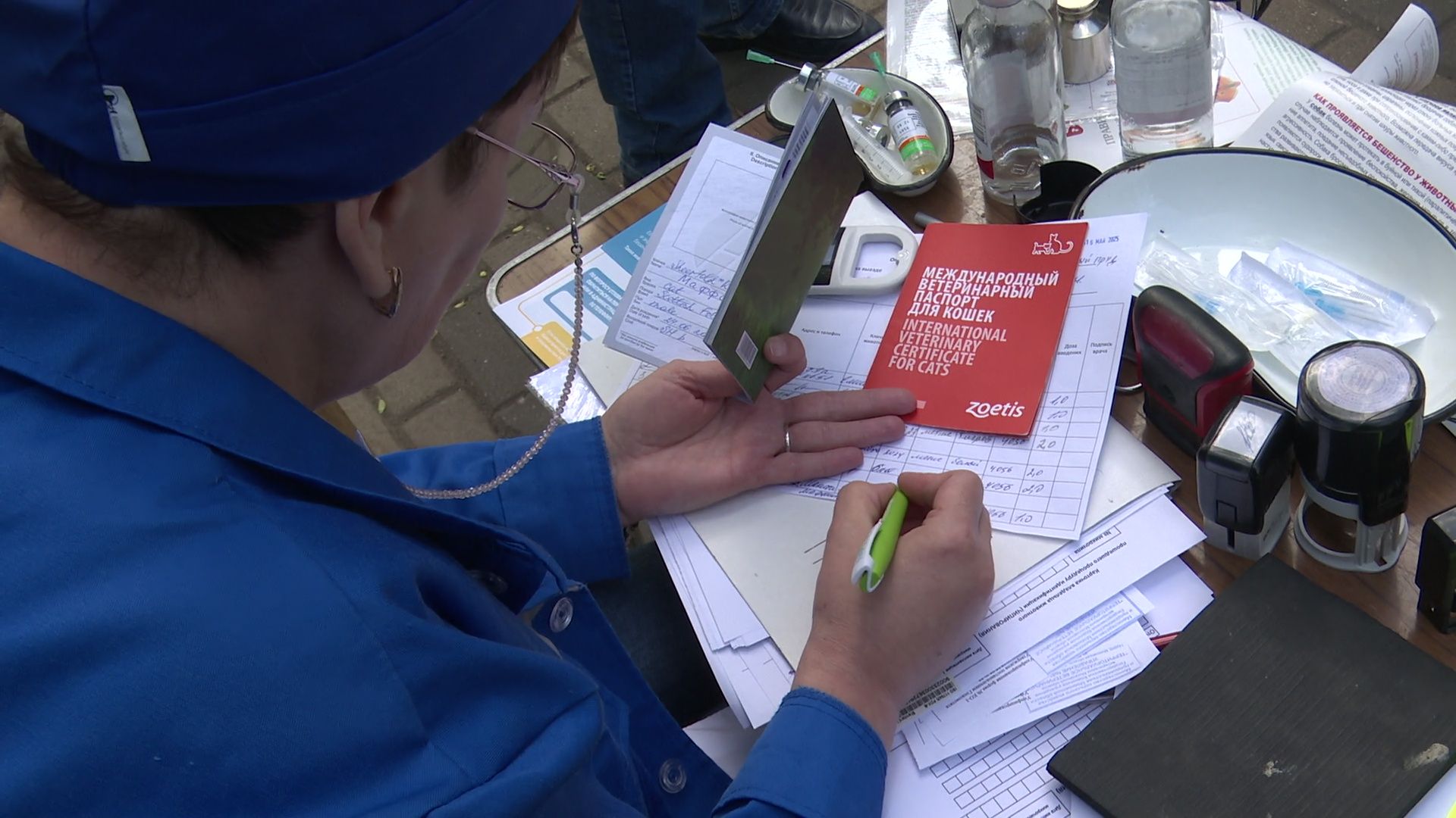 реутов, вакцинация, кошки, собаки, прививки от бешенства, чипирование,