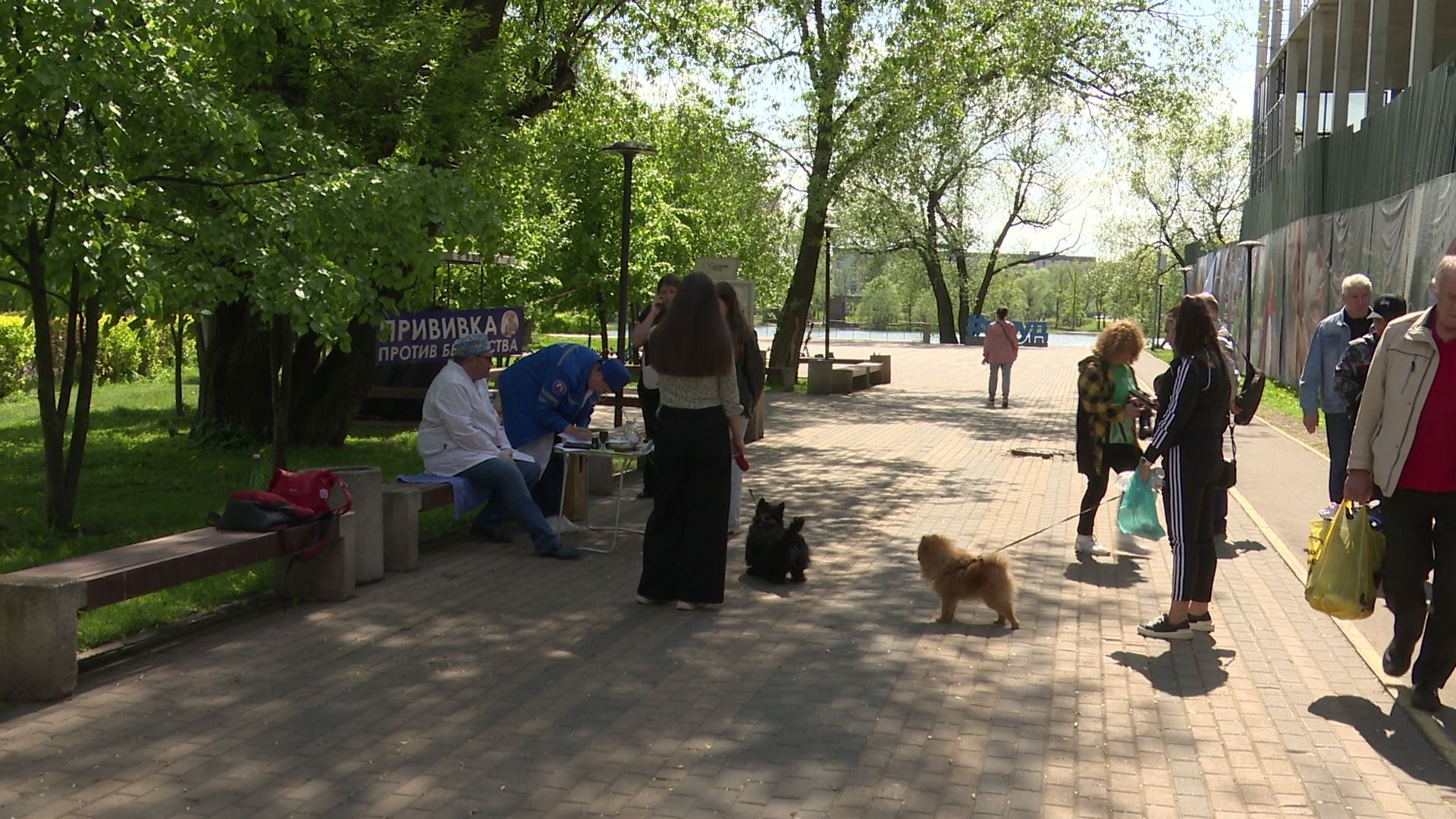 реутов, вакцинация, кошки, собаки, прививки от бешенства, чипирование,