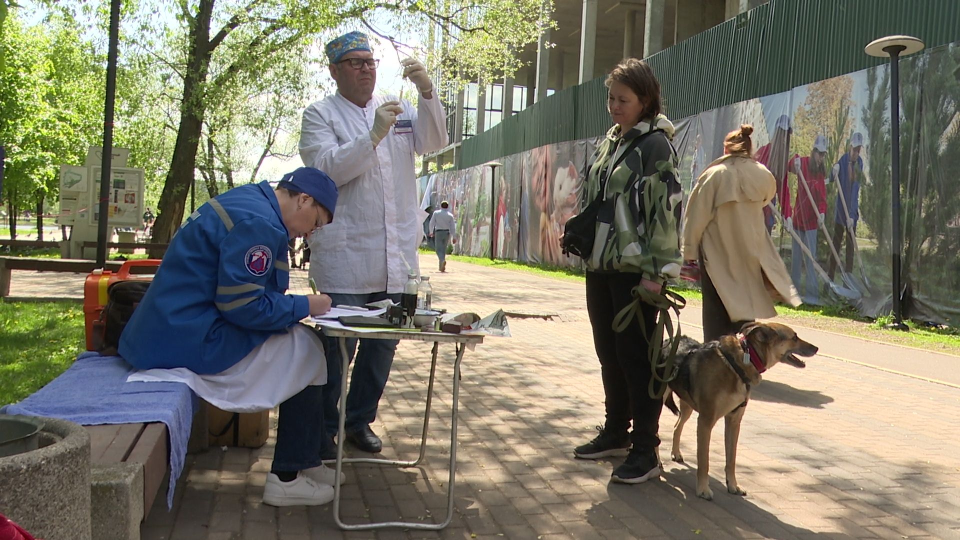 реутов, вакцинация, кошки, собаки, прививки от бешенства, чипирование,