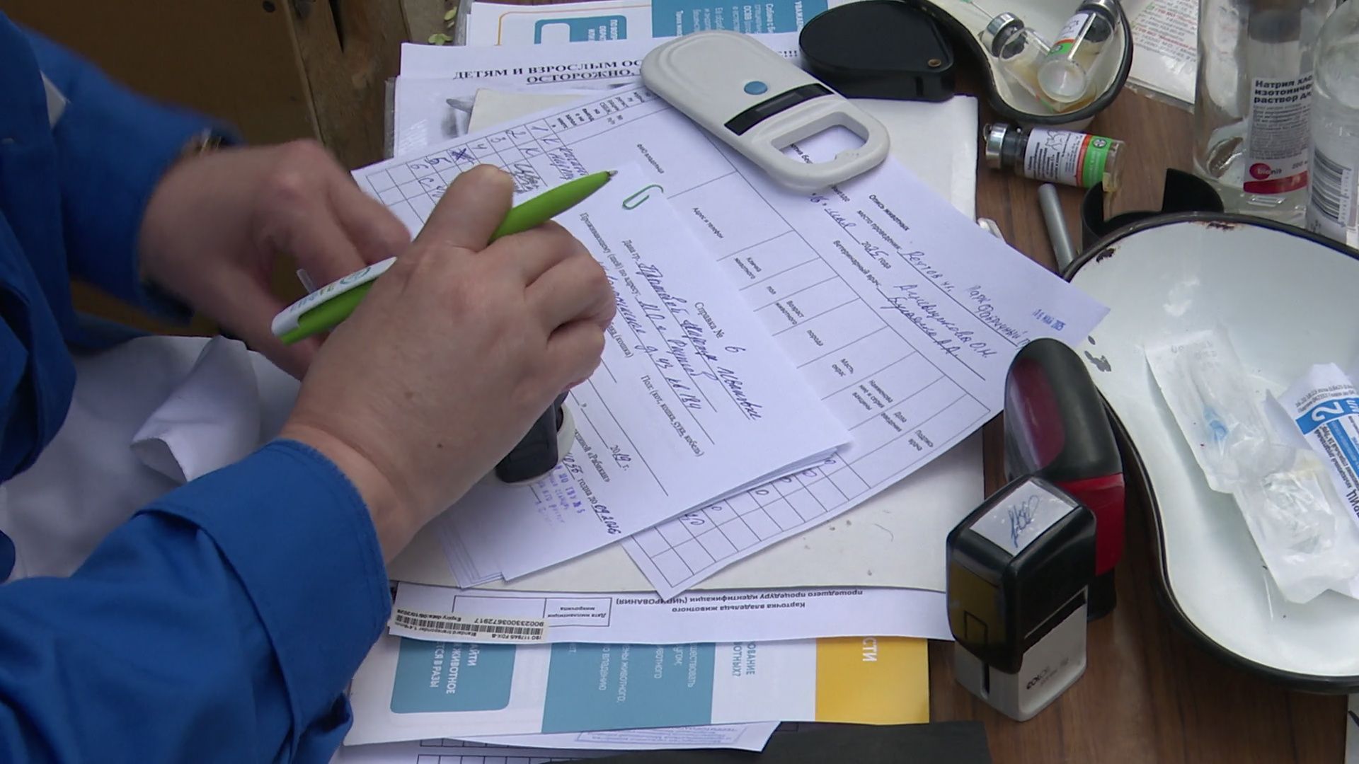 реутов, вакцинация, кошки, собаки, прививки от бешенства, чипирование,