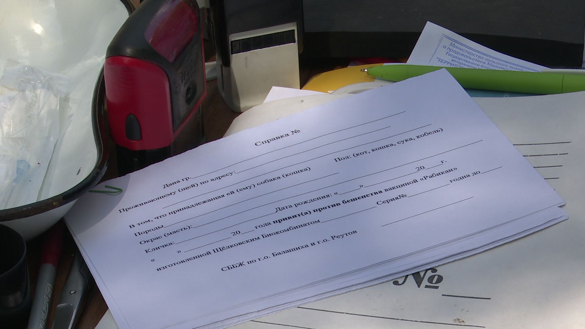 реутов, вакцинация, кошки, собаки, прививки от бешенства, чипирование,