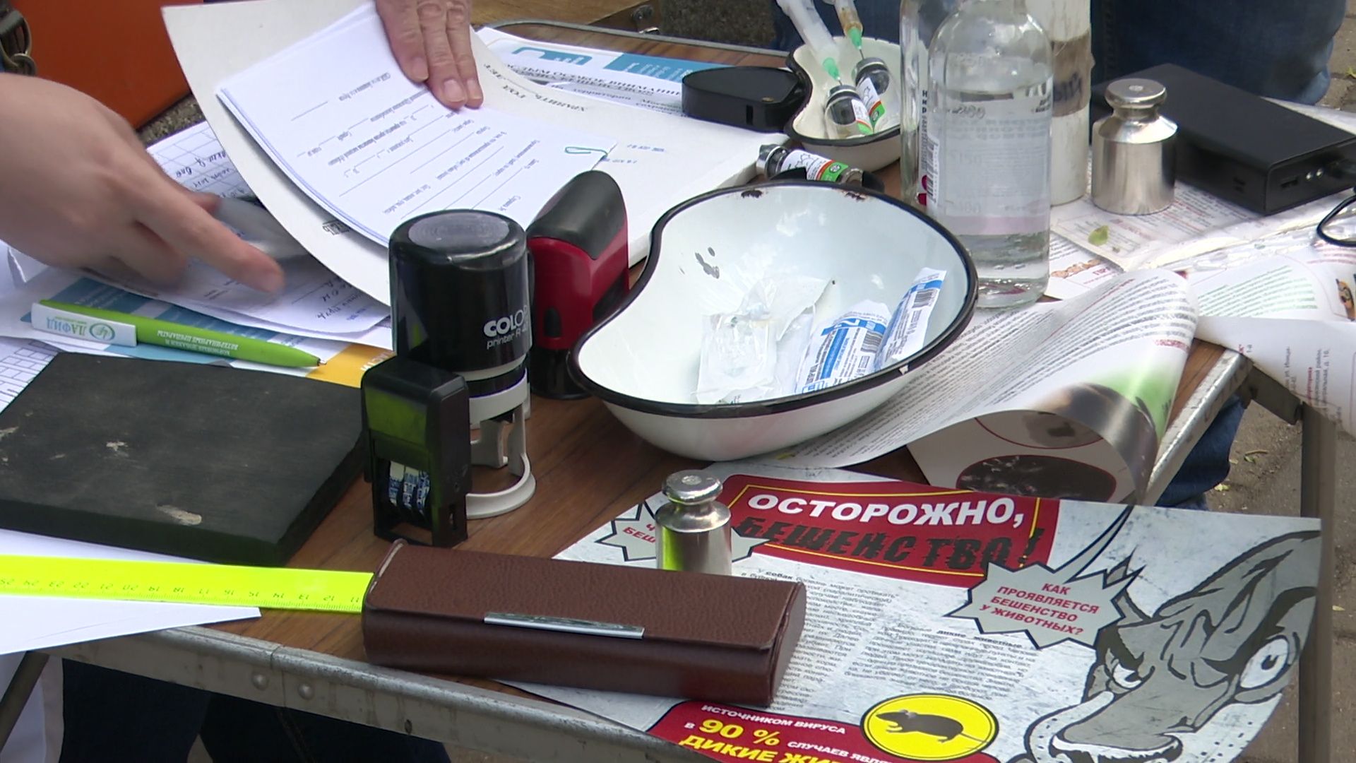 реутов, вакцинация, кошки, собаки, прививки от бешенства, чипирование,