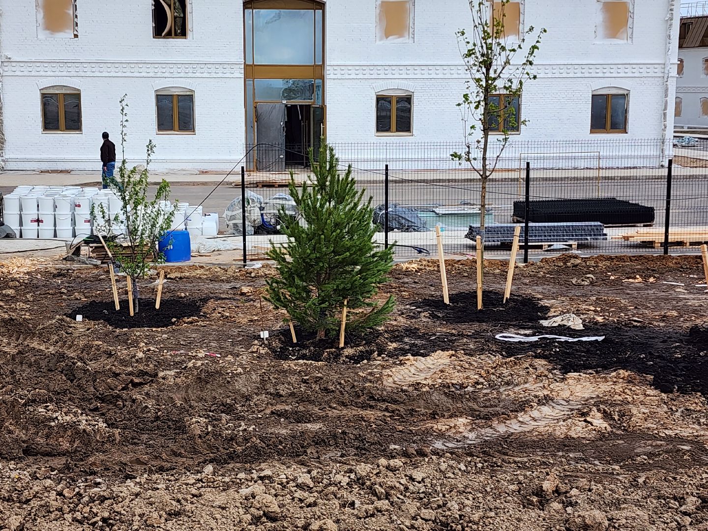 сергиев посад, семхоз, озеленение,