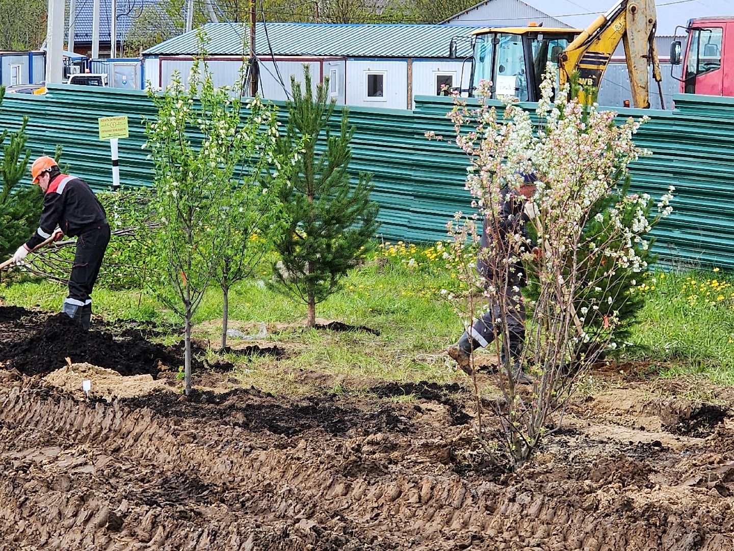 сергиев посад, семхоз, озеленение,